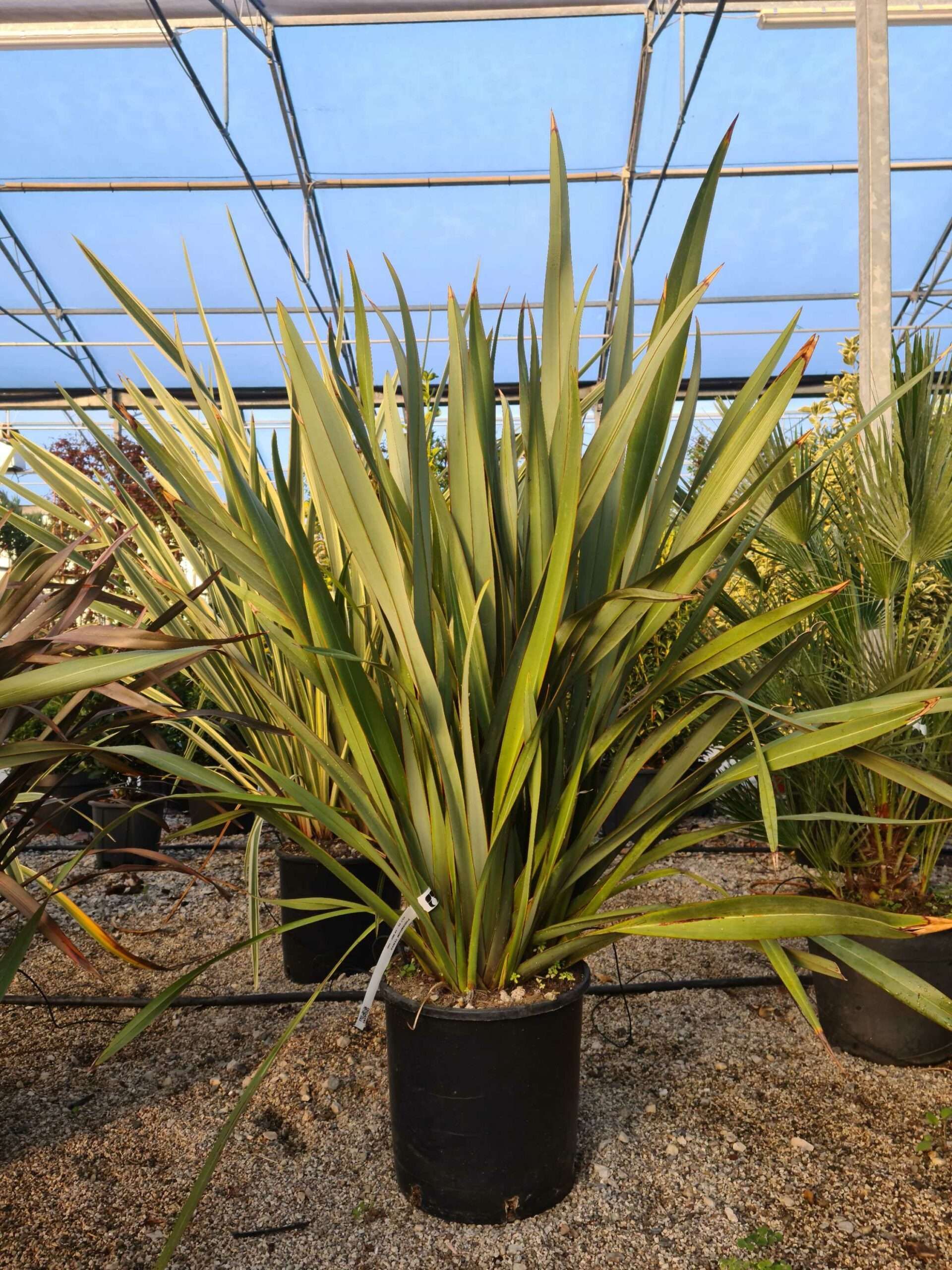 1639468442 scaled 8eaa12a8