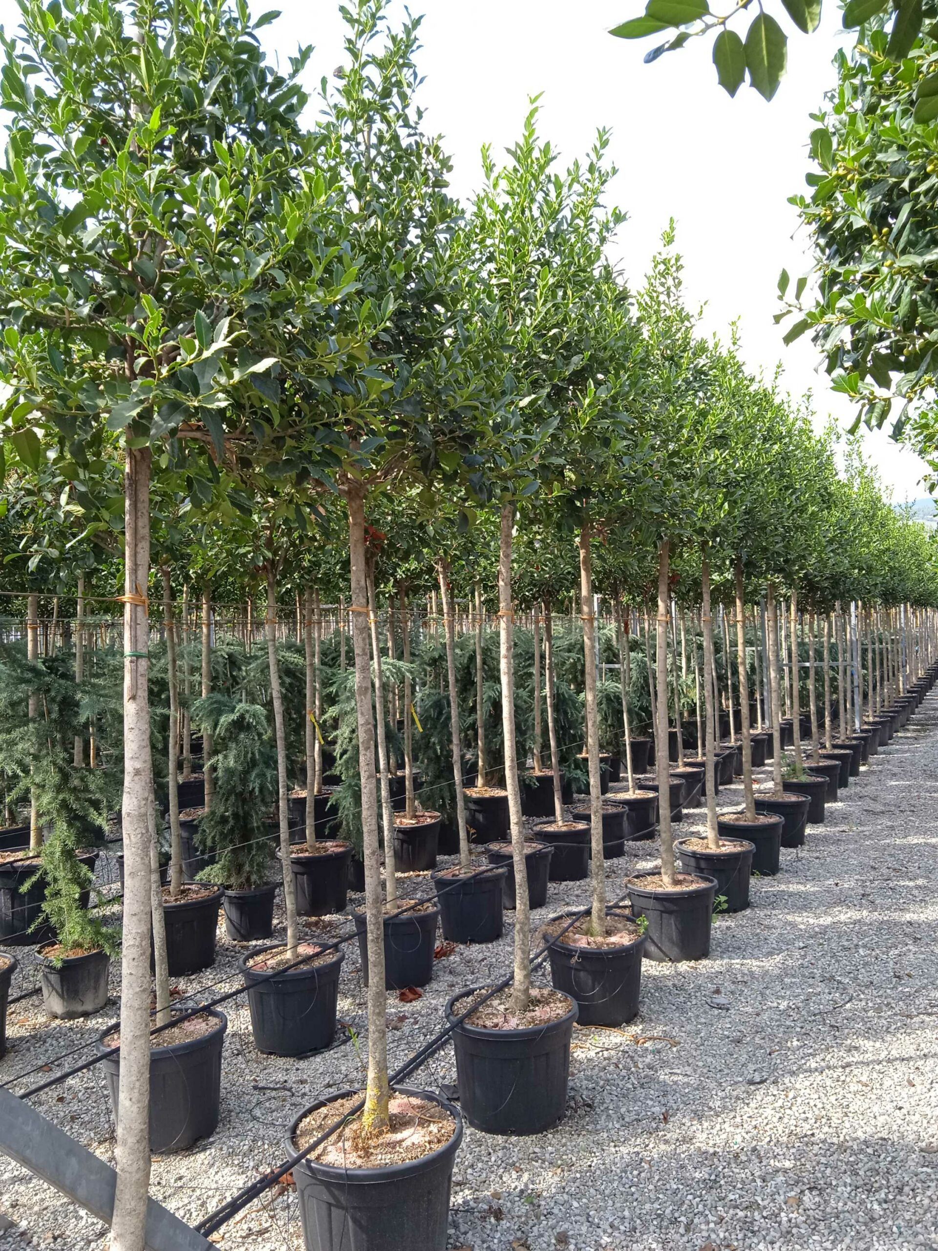 1662125614 scaled 8e1f6997