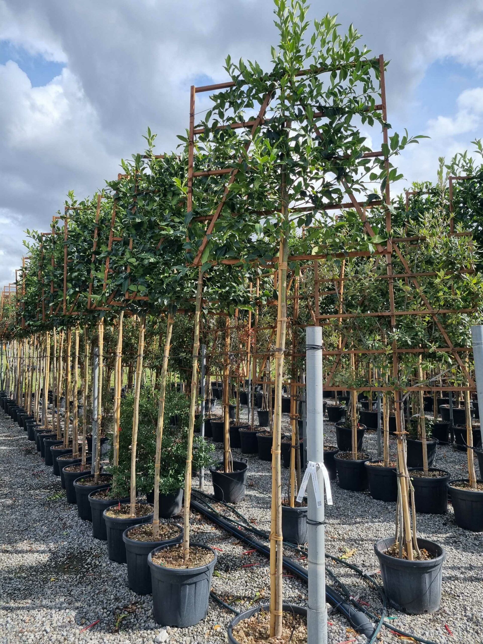 1664455753 scaled 8e1f90db