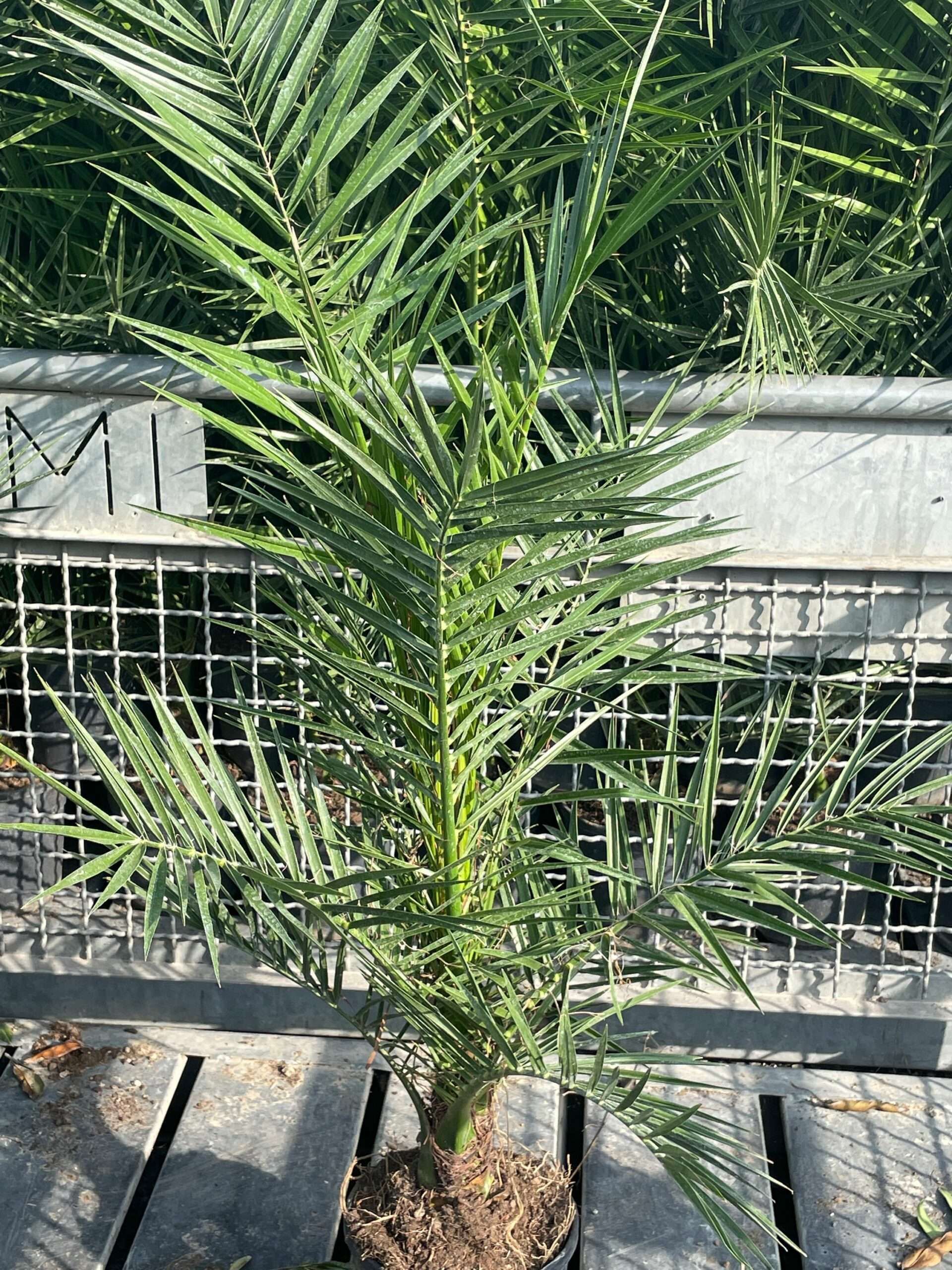 1665495829 scaled 8e1b03de