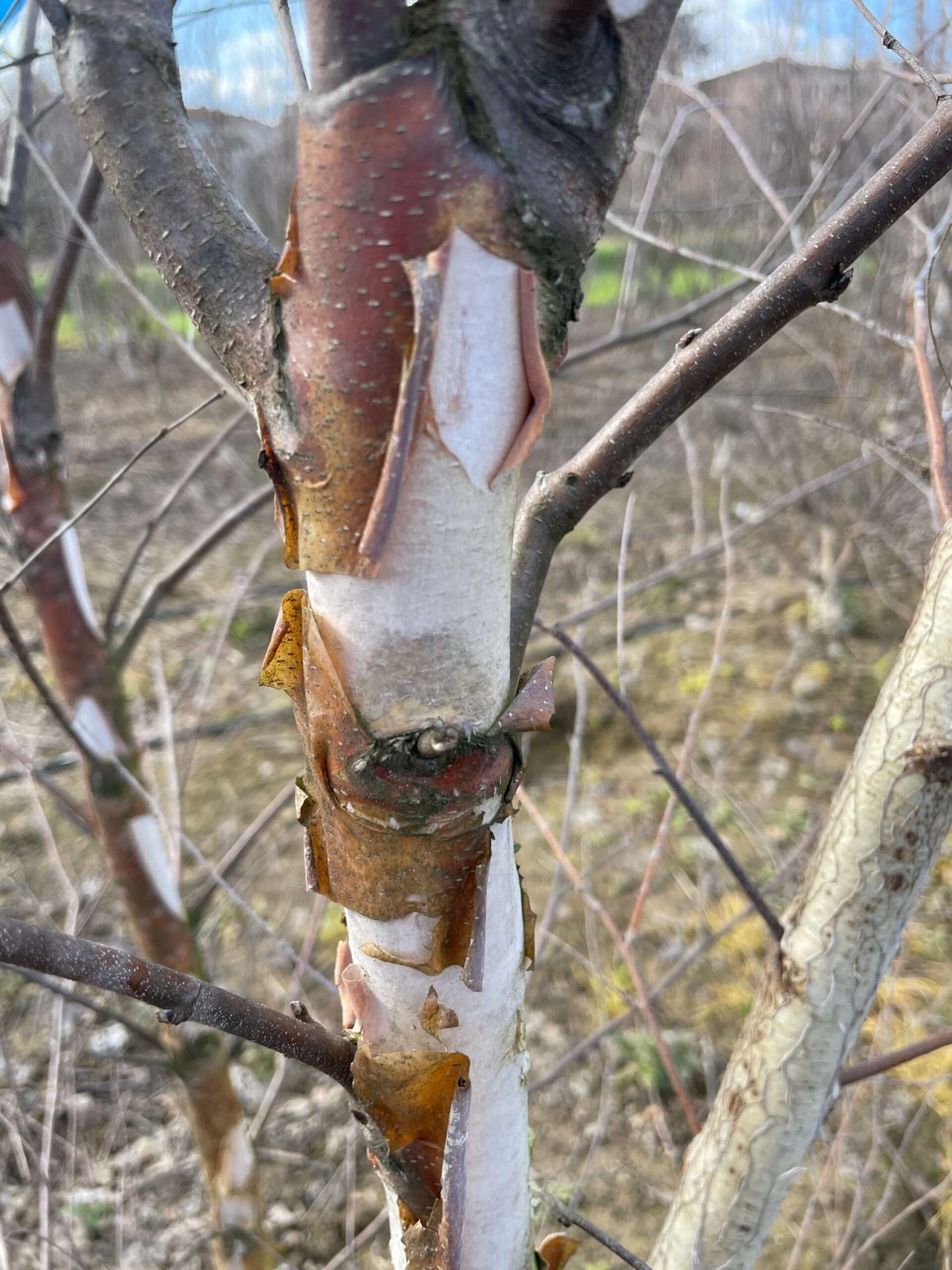 1677850419 scaled 8e20a119