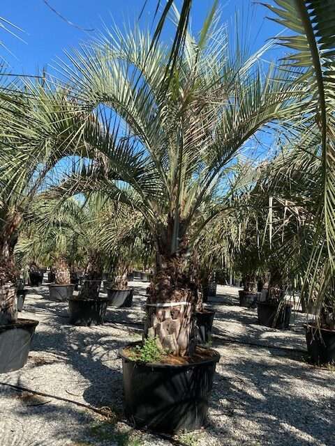 1608653496 rotated 8f93c046