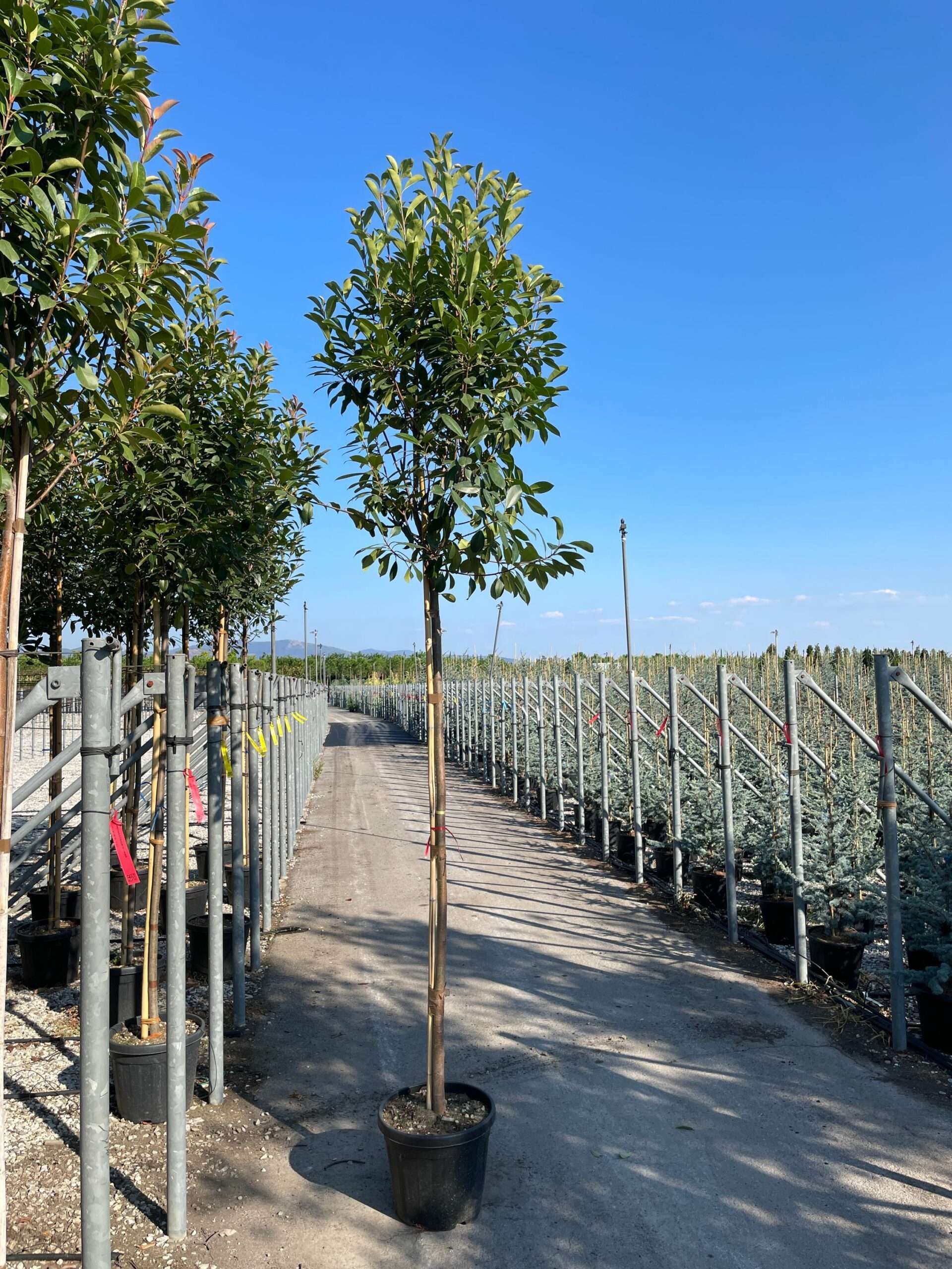 1631112087 scaled 8fb066db