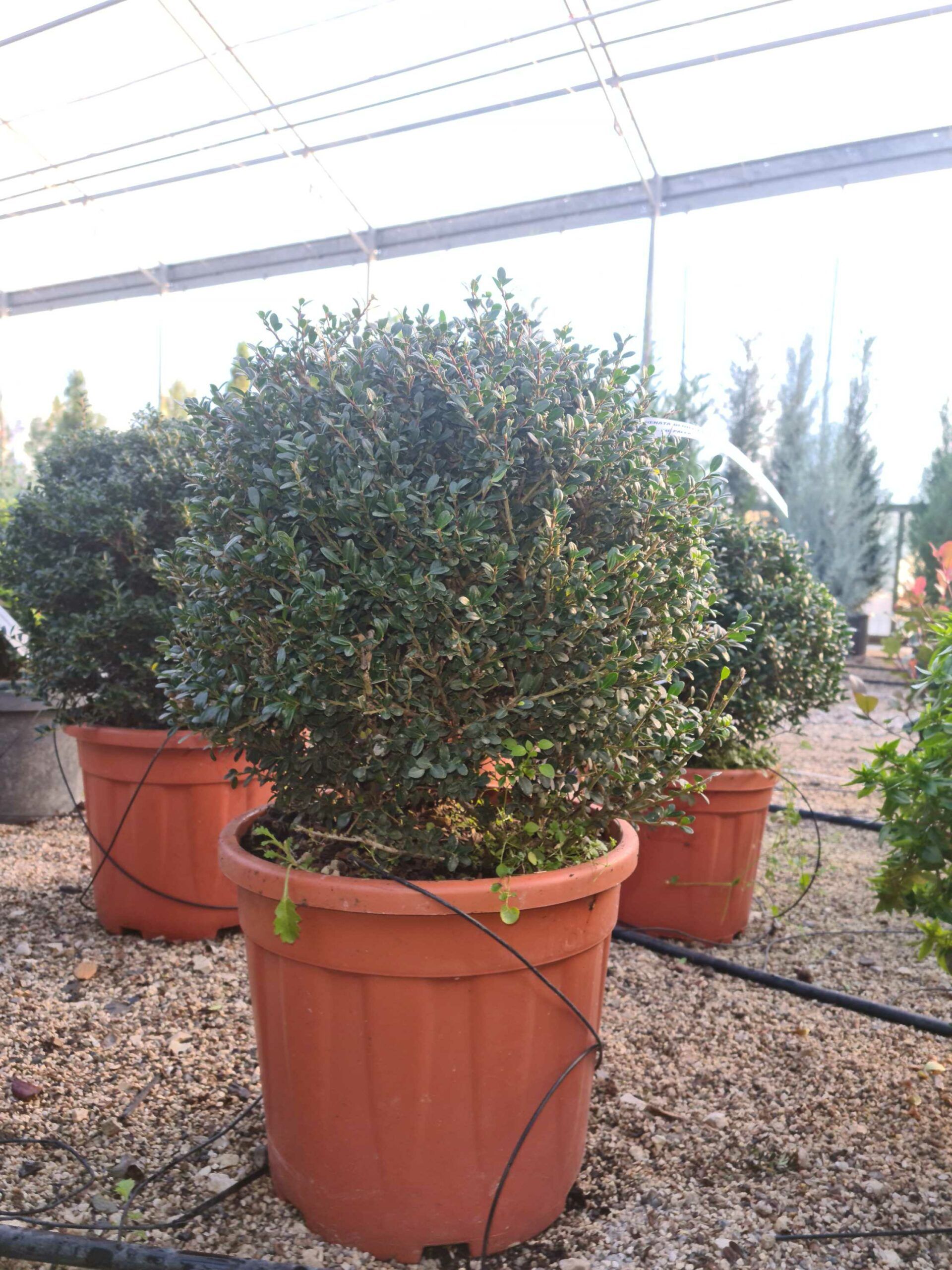 1639469190 scaled 8f4d7882