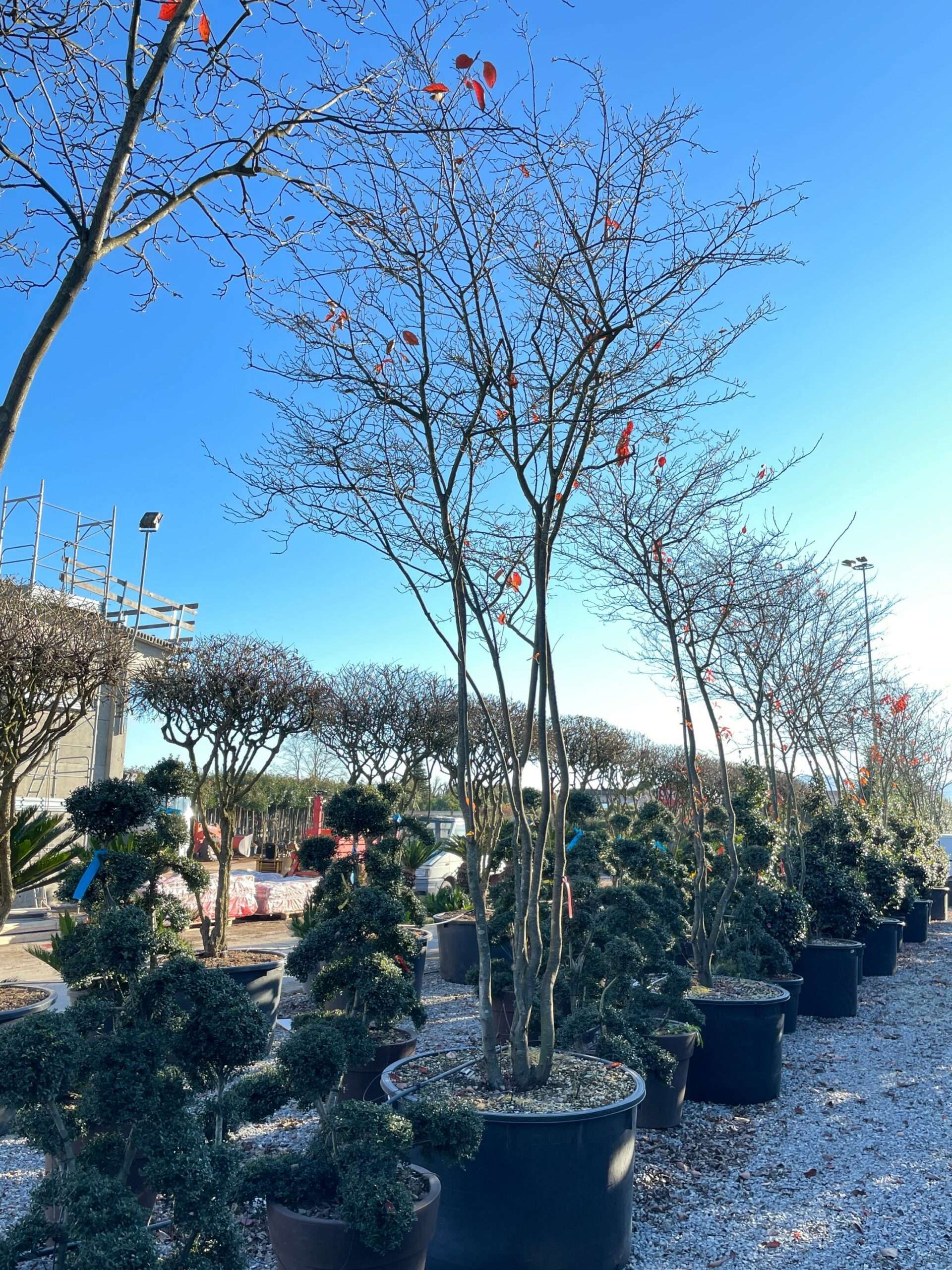 1639748027 scaled 8f6b8461