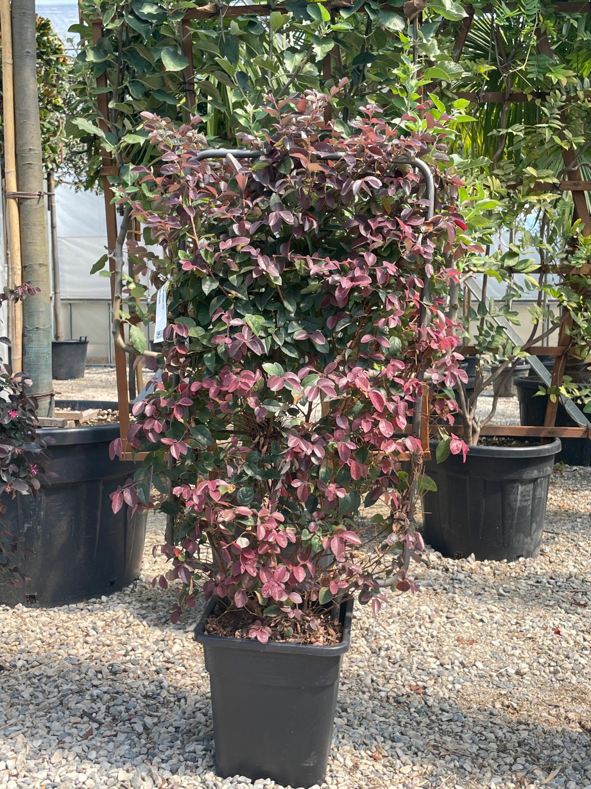 1661344304 scaled 8f45db47