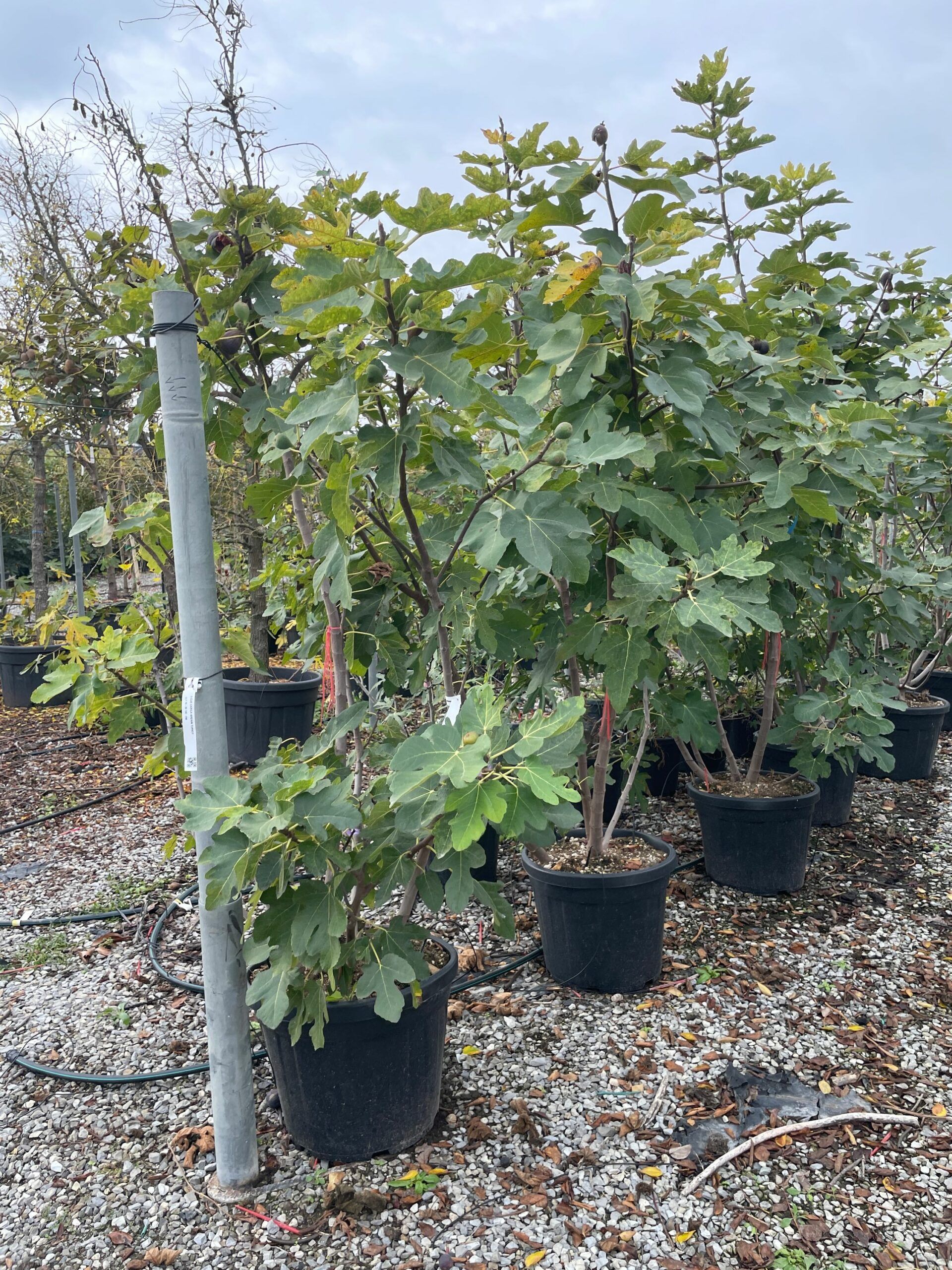 1666347884 scaled 8fdc5afc