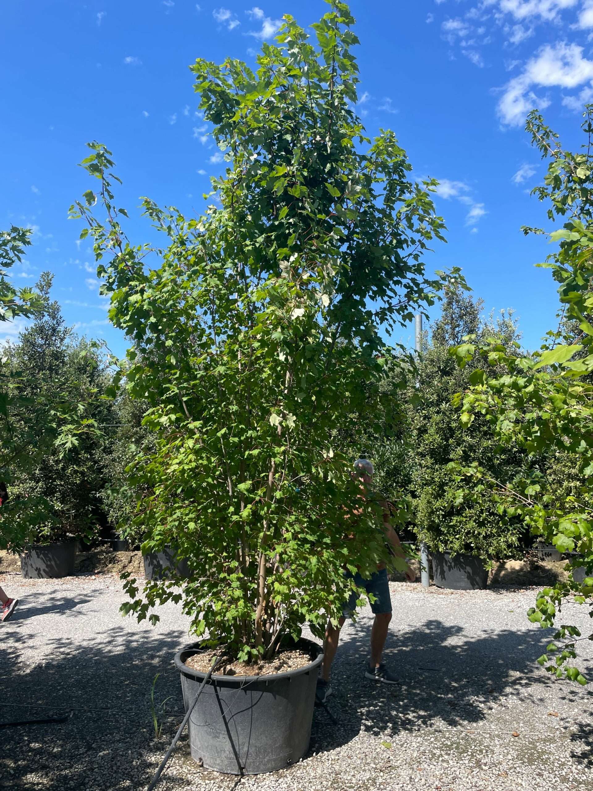 1691399904 scaled 8fc9077f