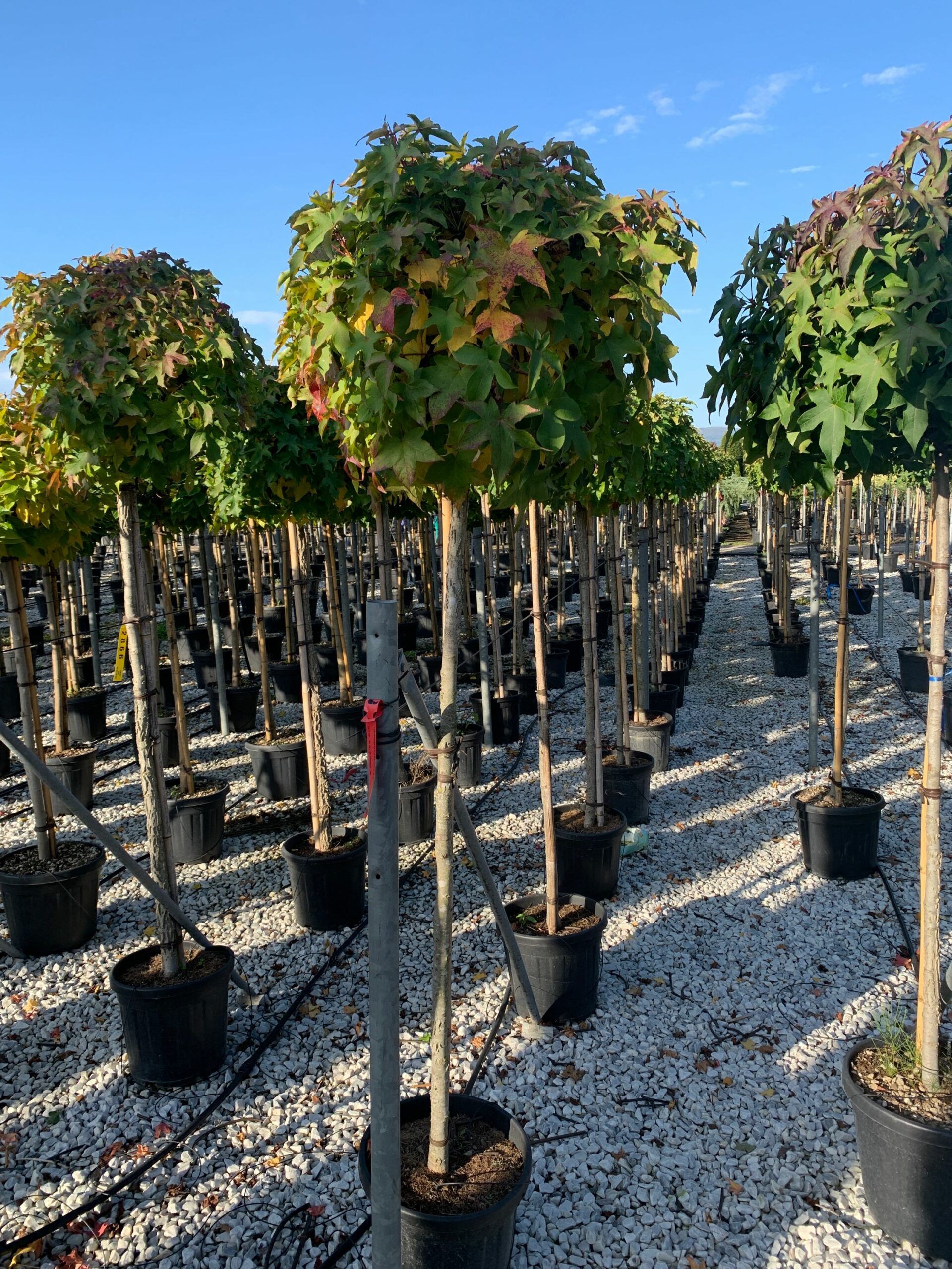 1635320718 scaled 902b7ddf