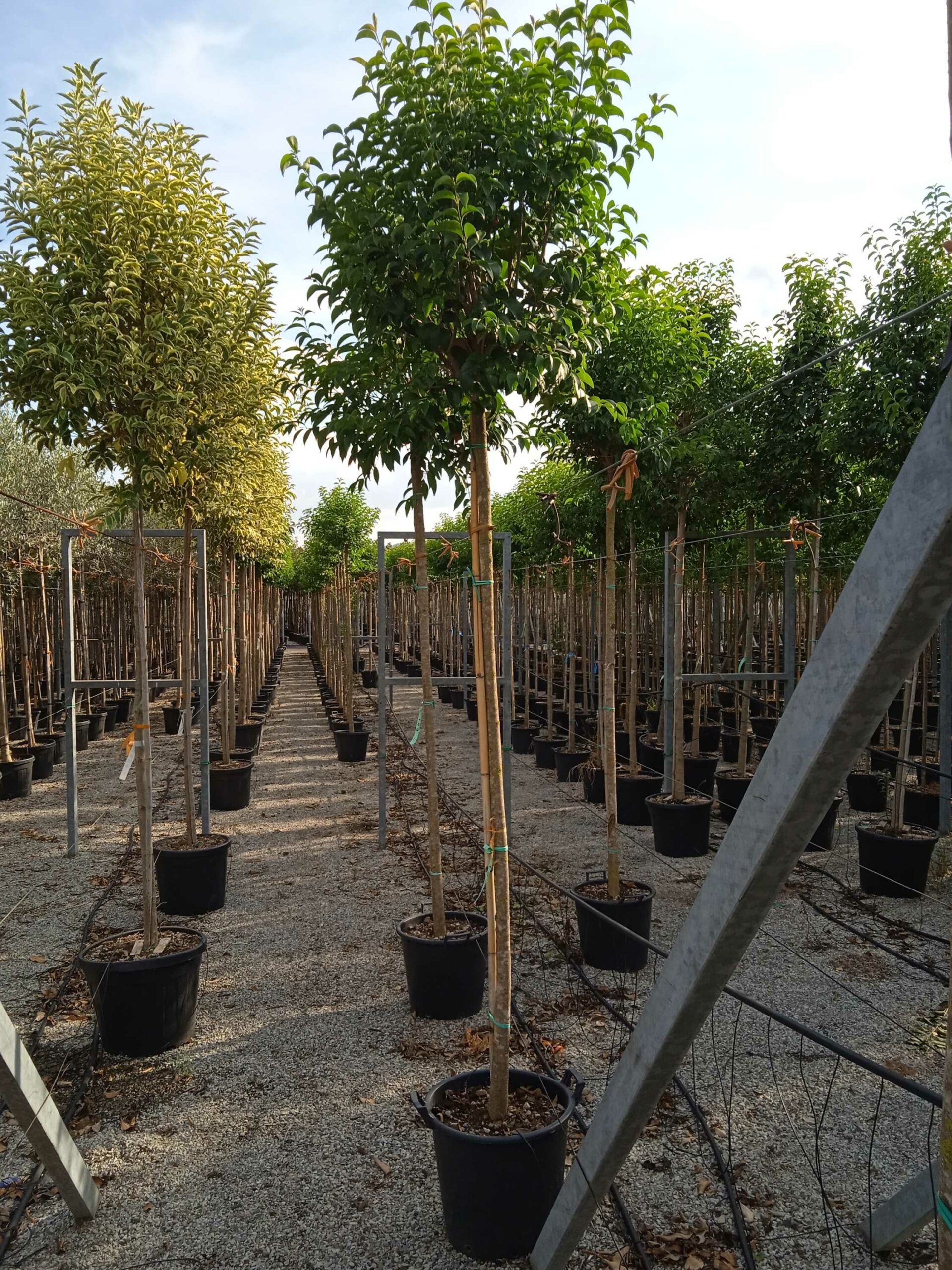 1662131813 scaled 907632ed