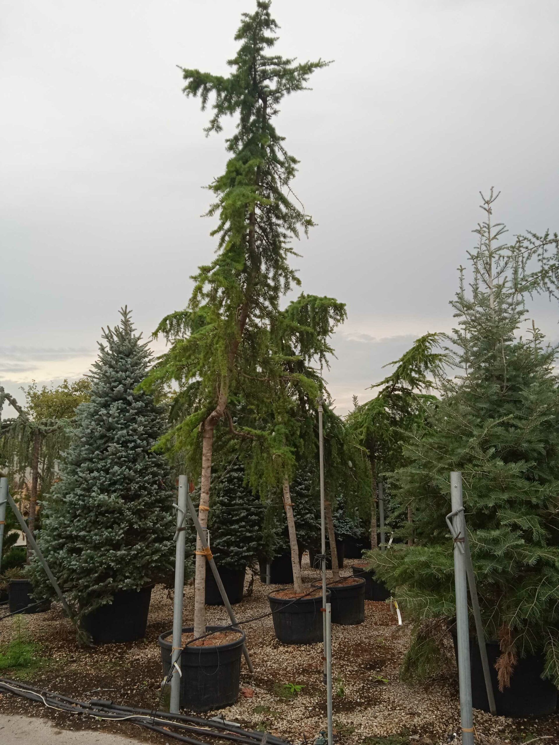 1662185804 scaled 90fe733f