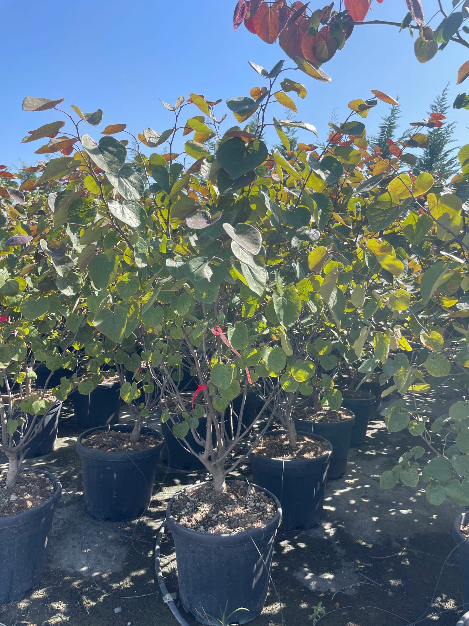 1692868236 scaled 90c2f02a