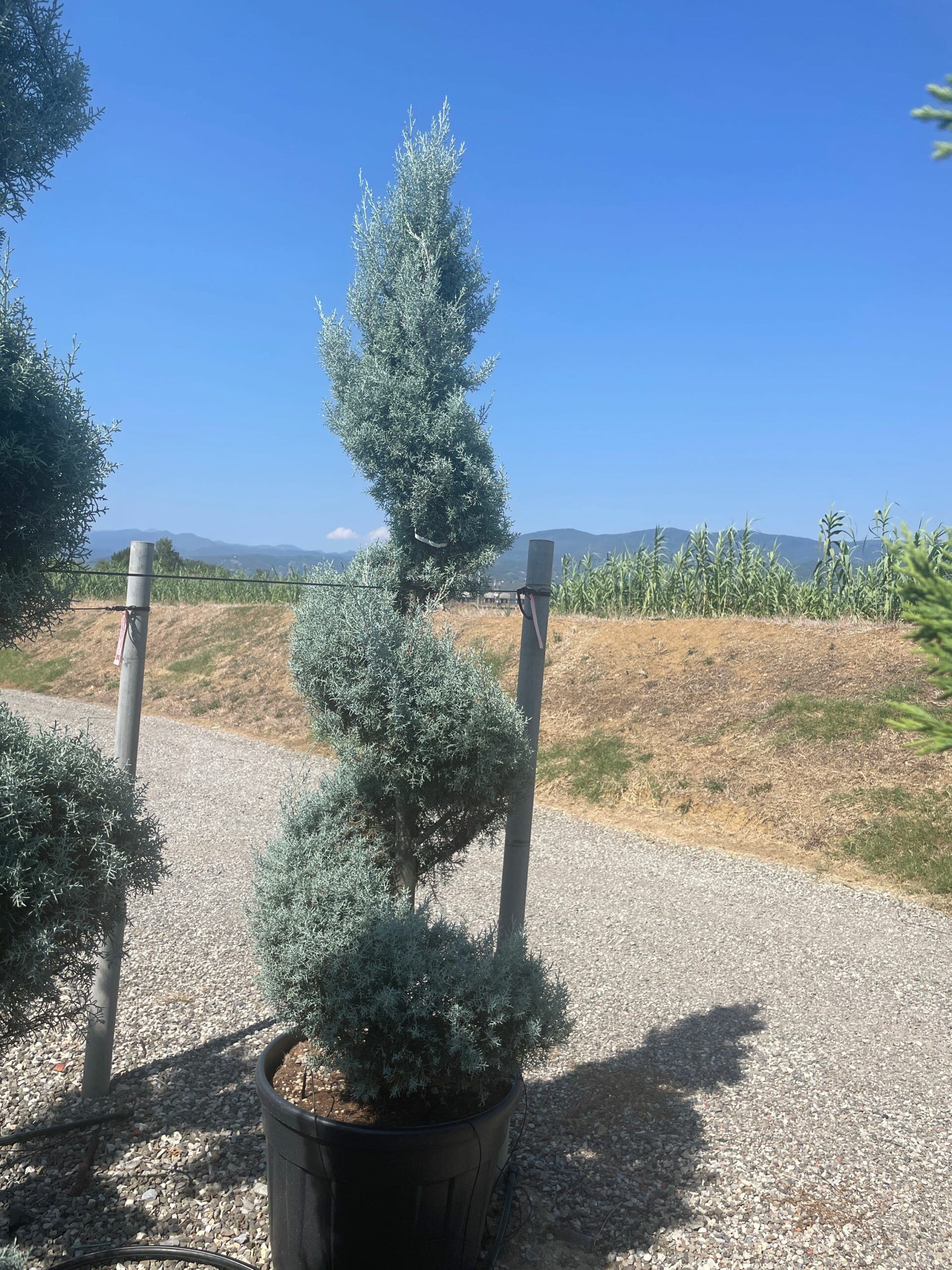 1692967827 scaled 9022f9b6