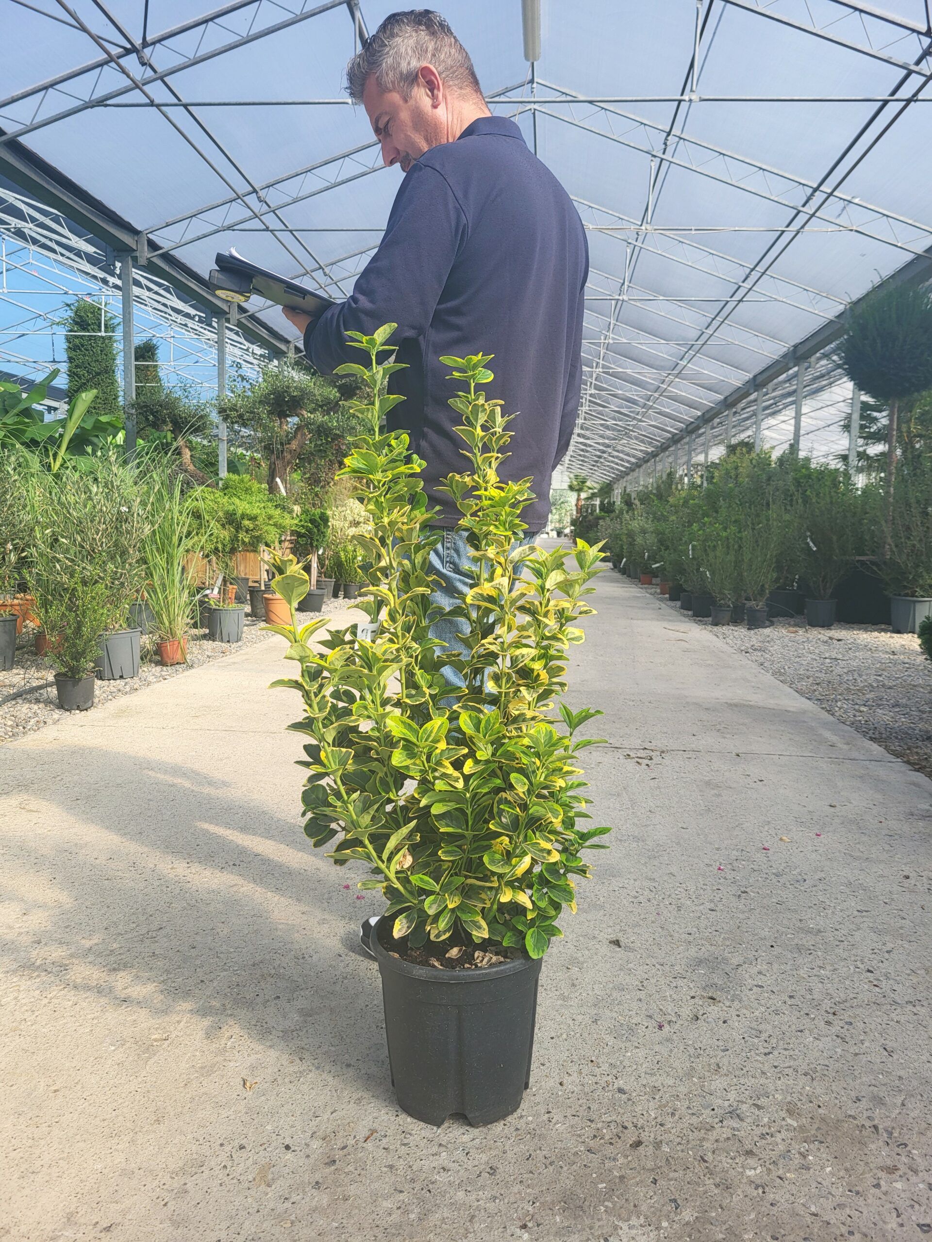 1696397990 scaled 90a64cf4