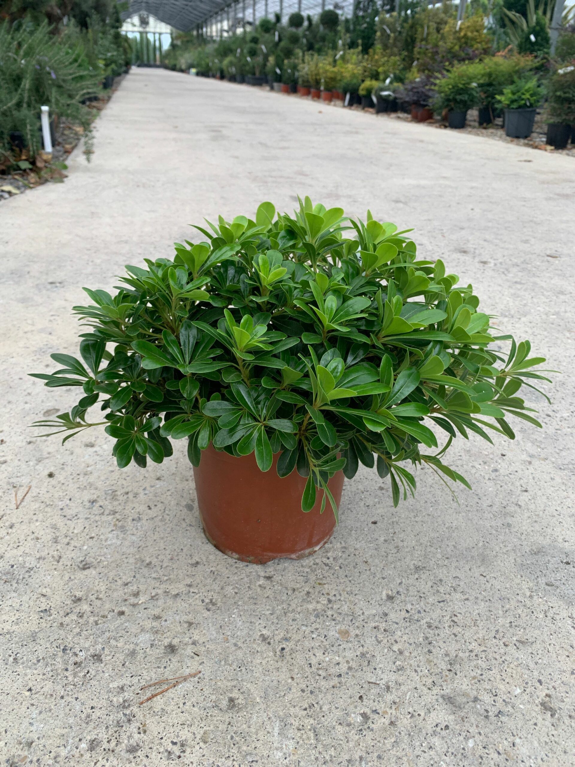 1634825738 scaled 914eee87