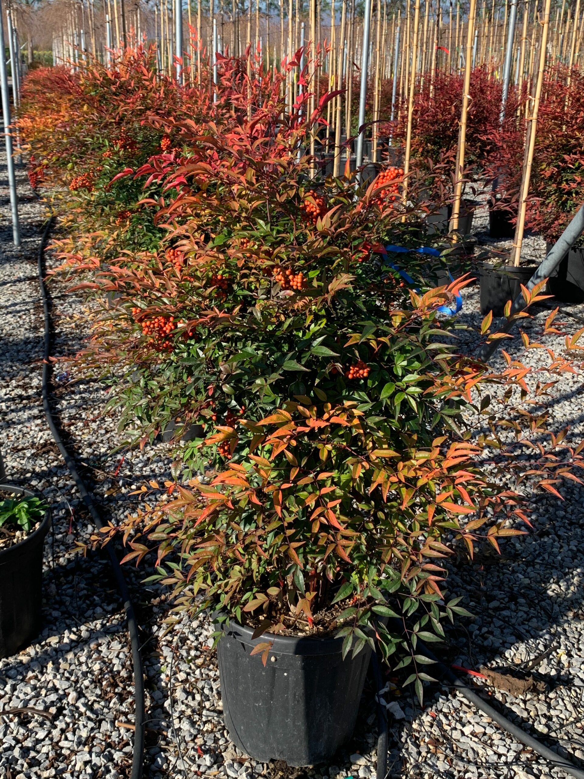 1637315097 scaled 91a5592a