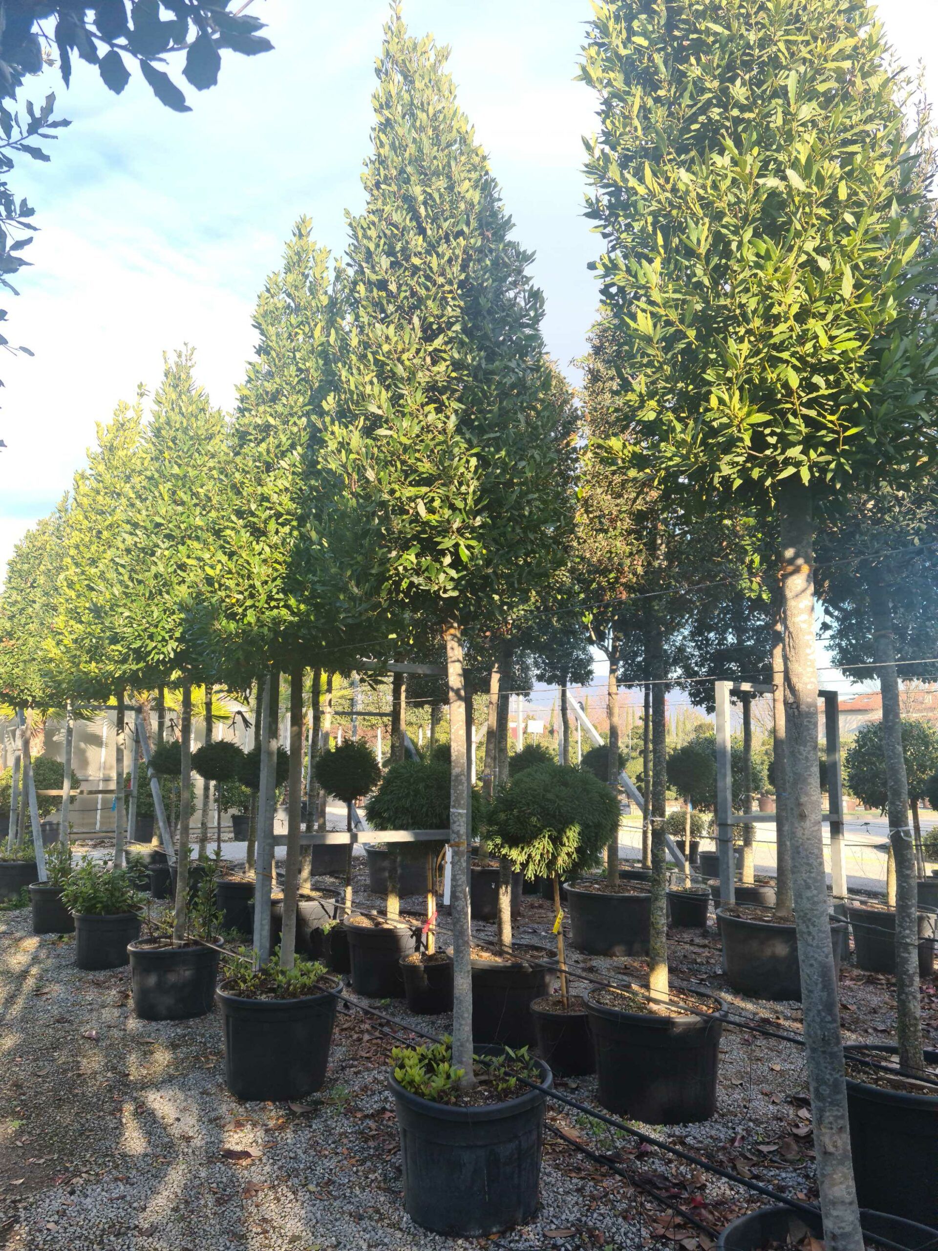 1639402277 scaled 9141b927