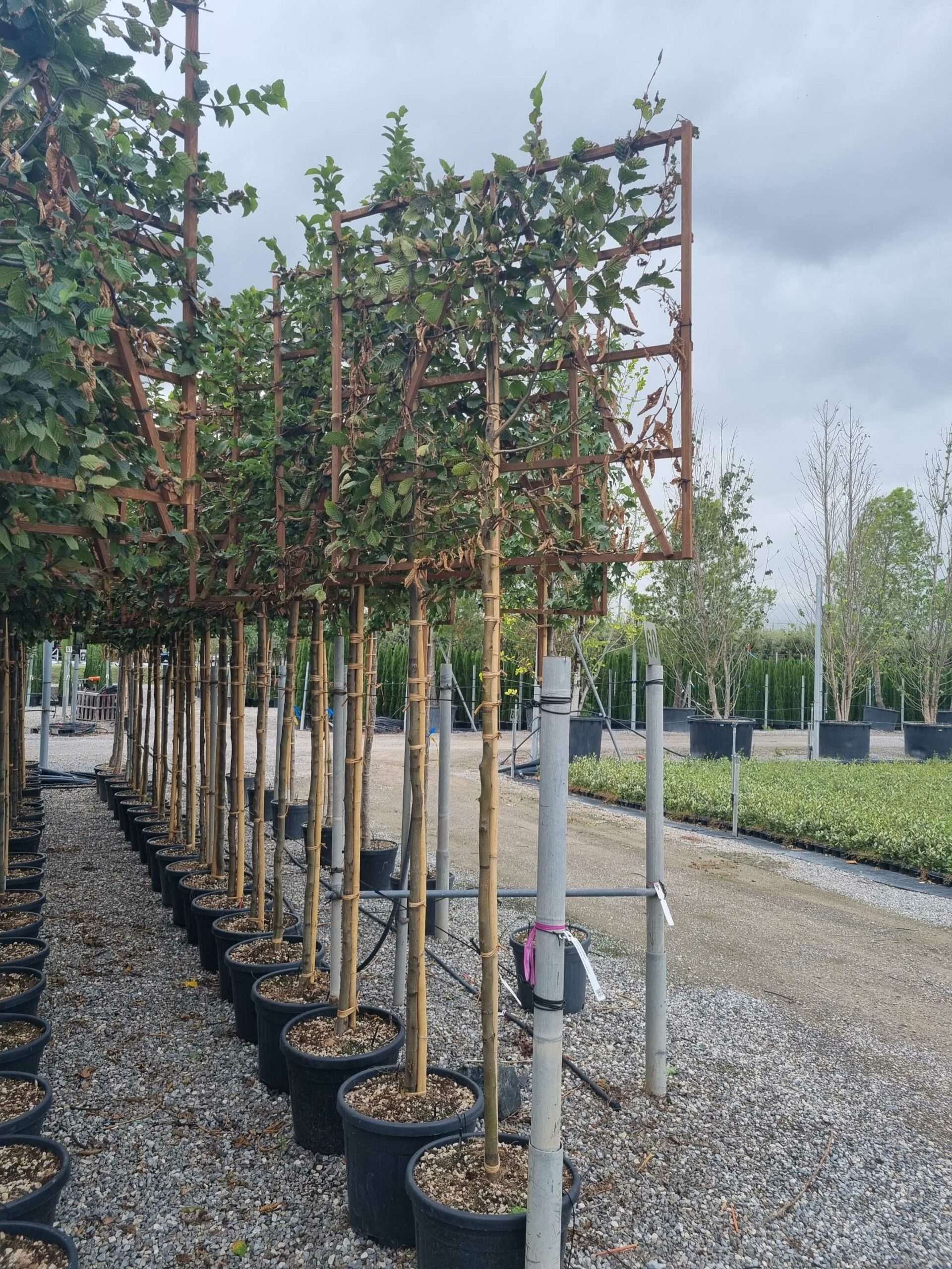 1664462742 scaled 9114487e