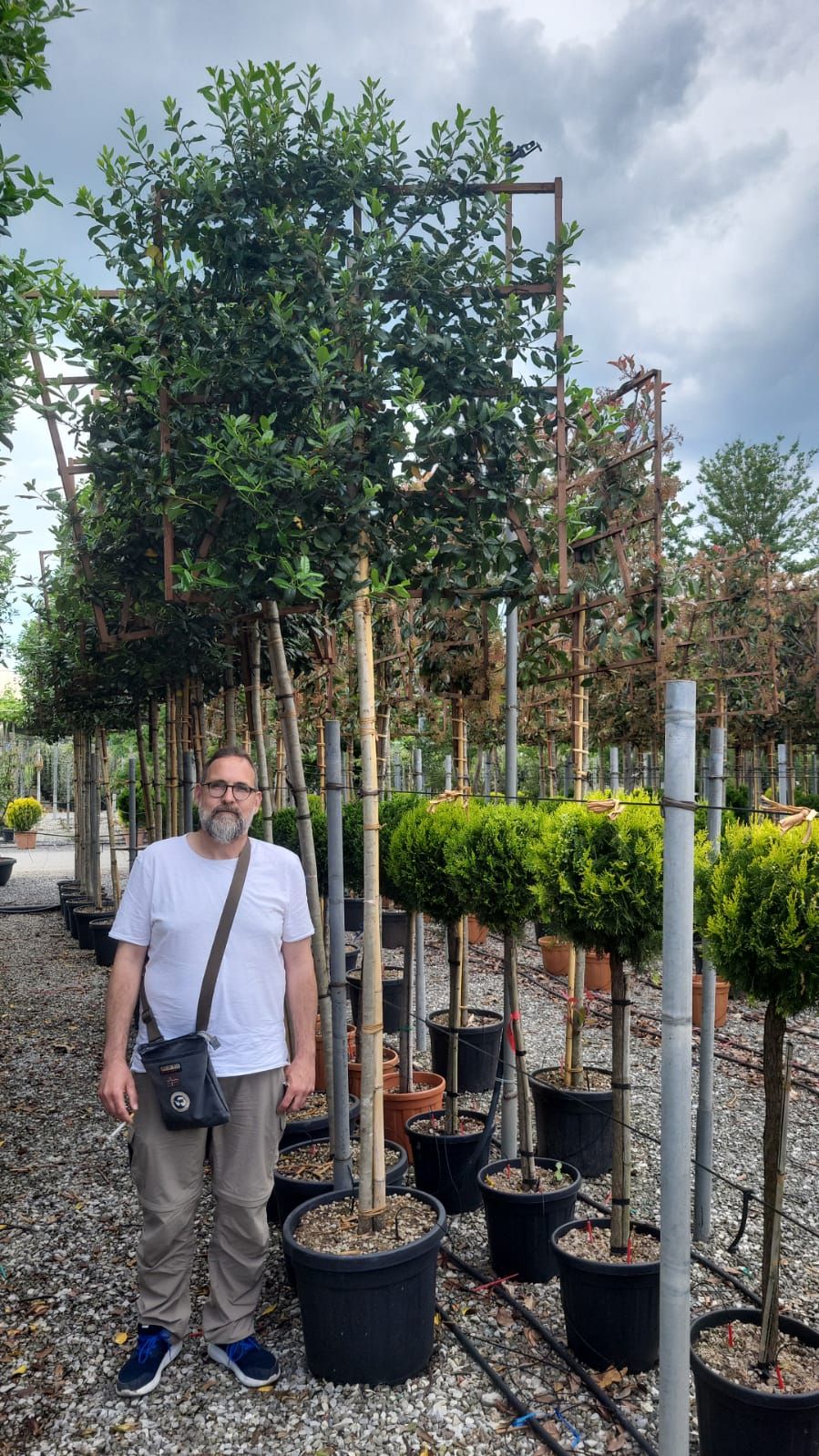 1683821049 WhatsApp Image 2023 05 09 at 16.22.56 91a228bc