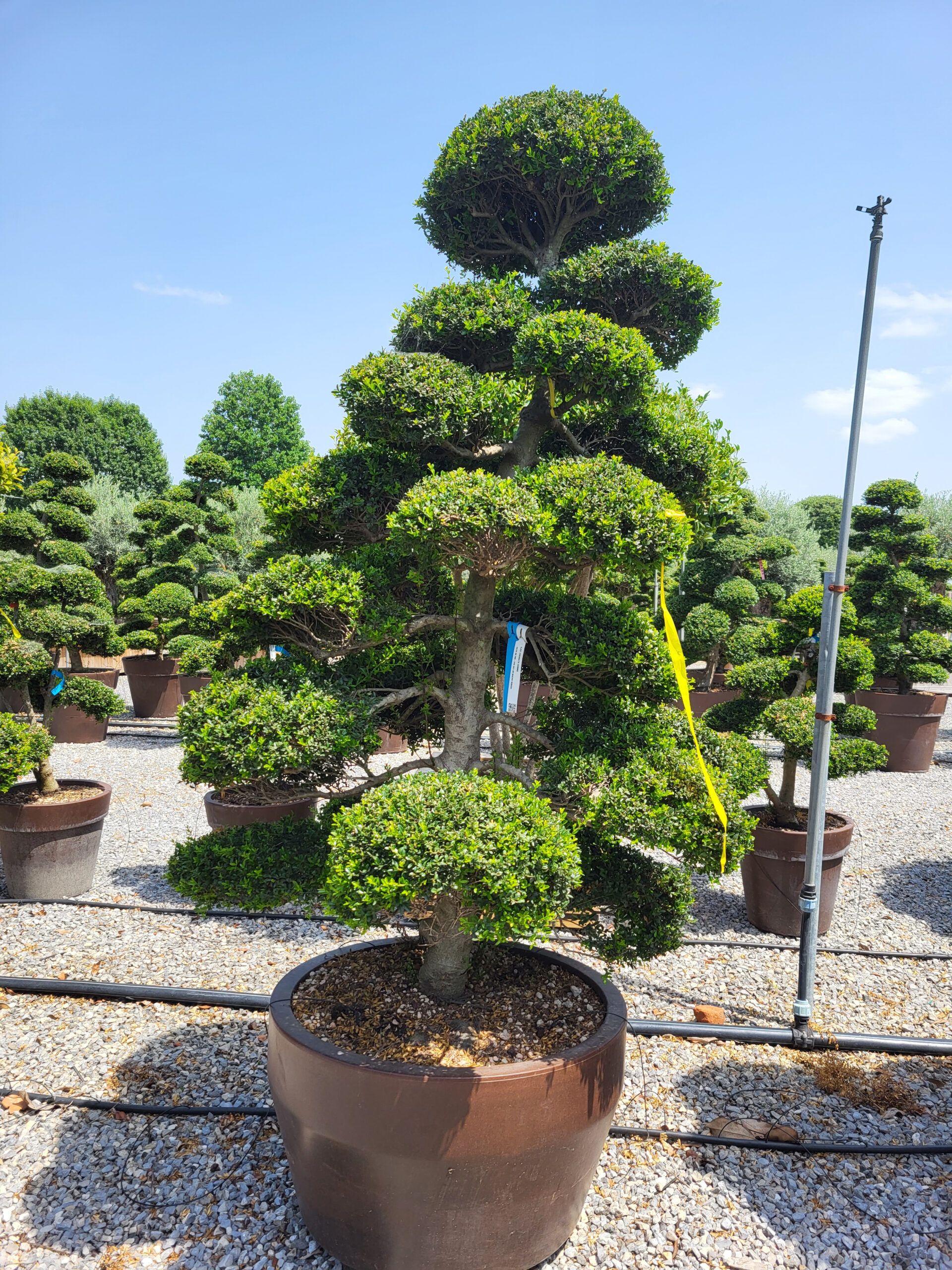 1689165914 scaled 91f6708d