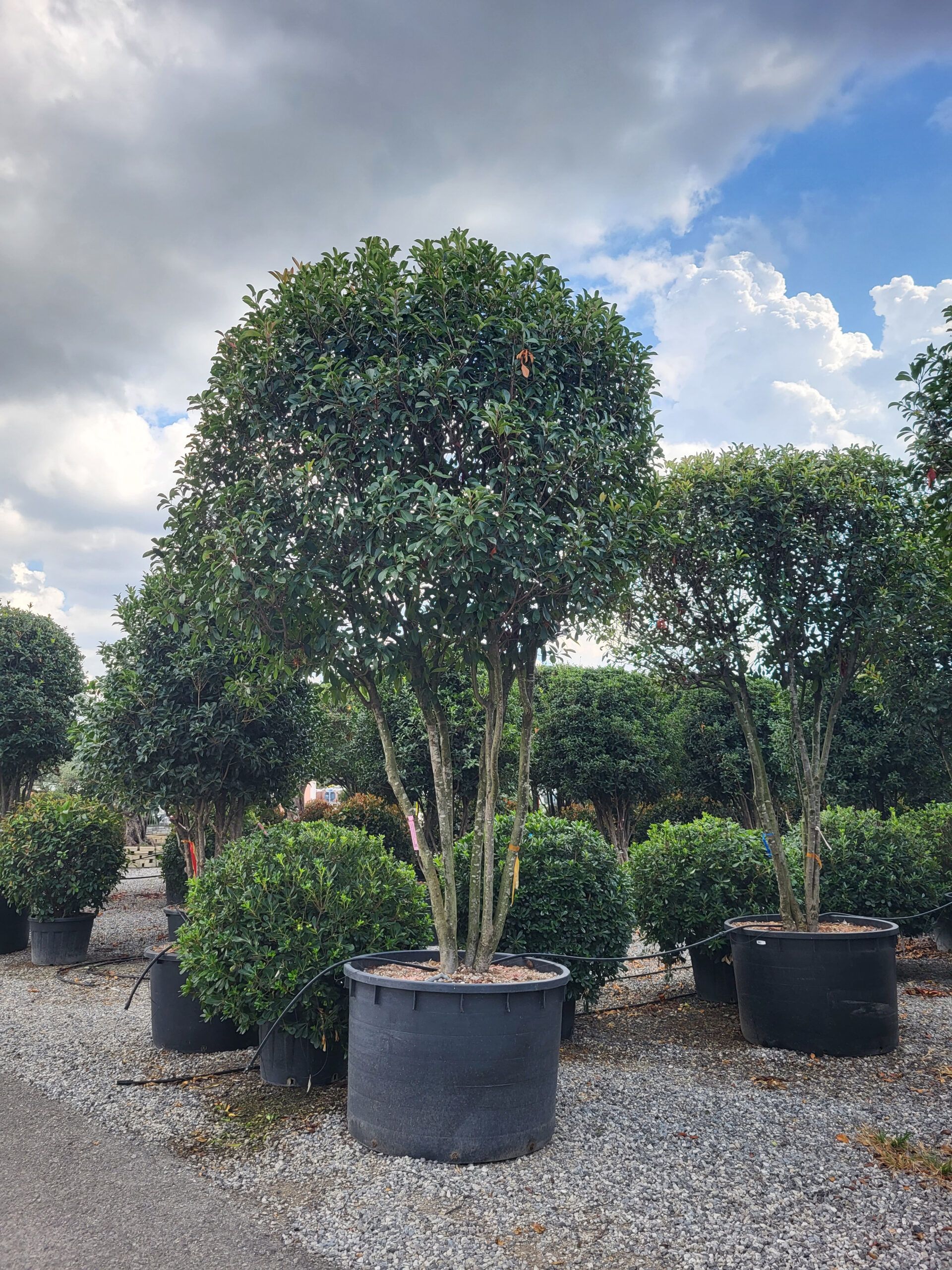 1694788935 scaled 91bc787d