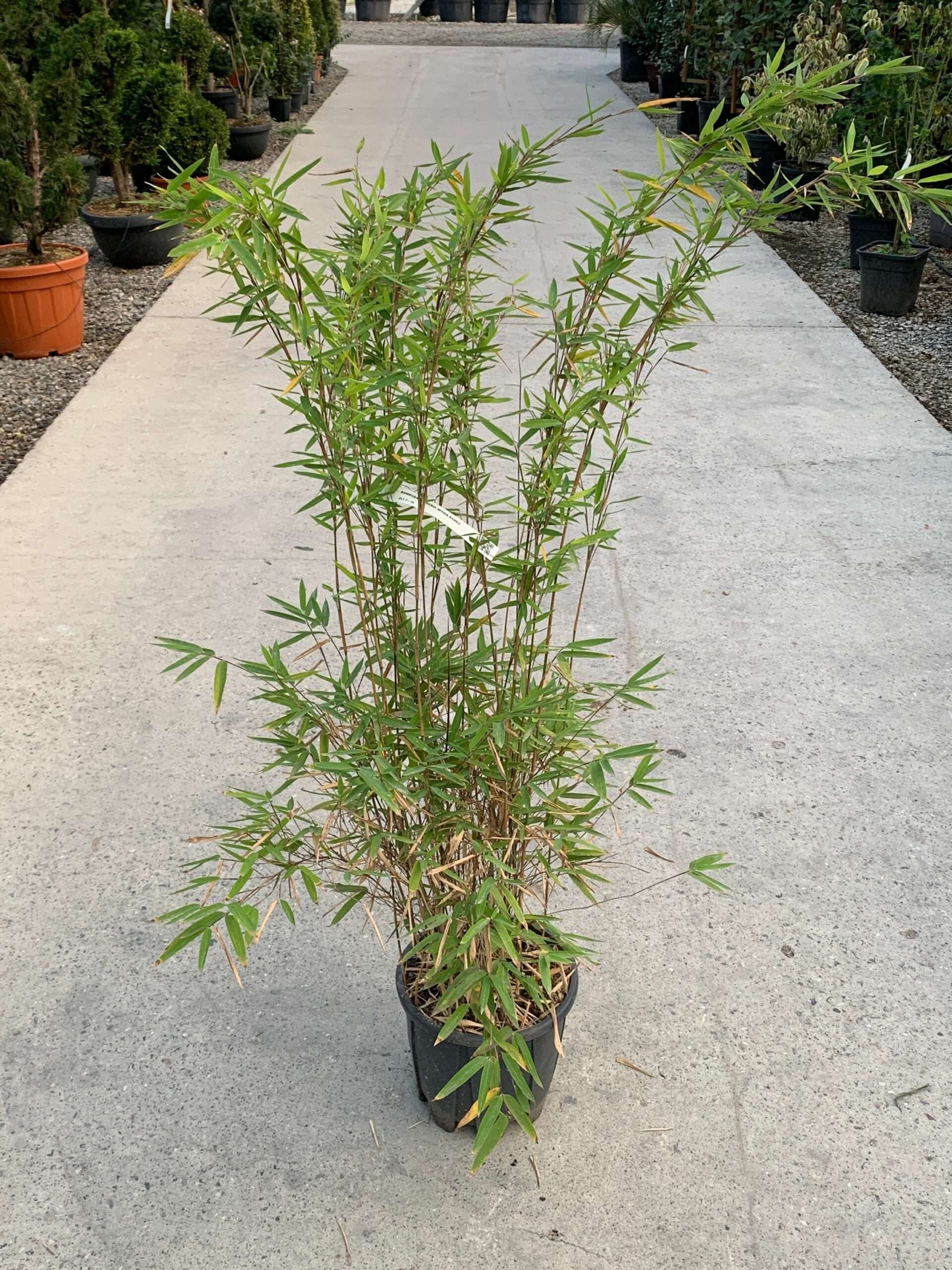 1635229938 scaled 929c0f0a