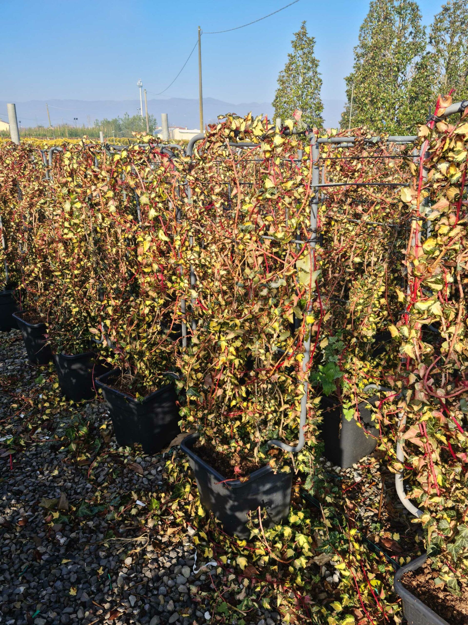 1642756167 scaled 92b1360b