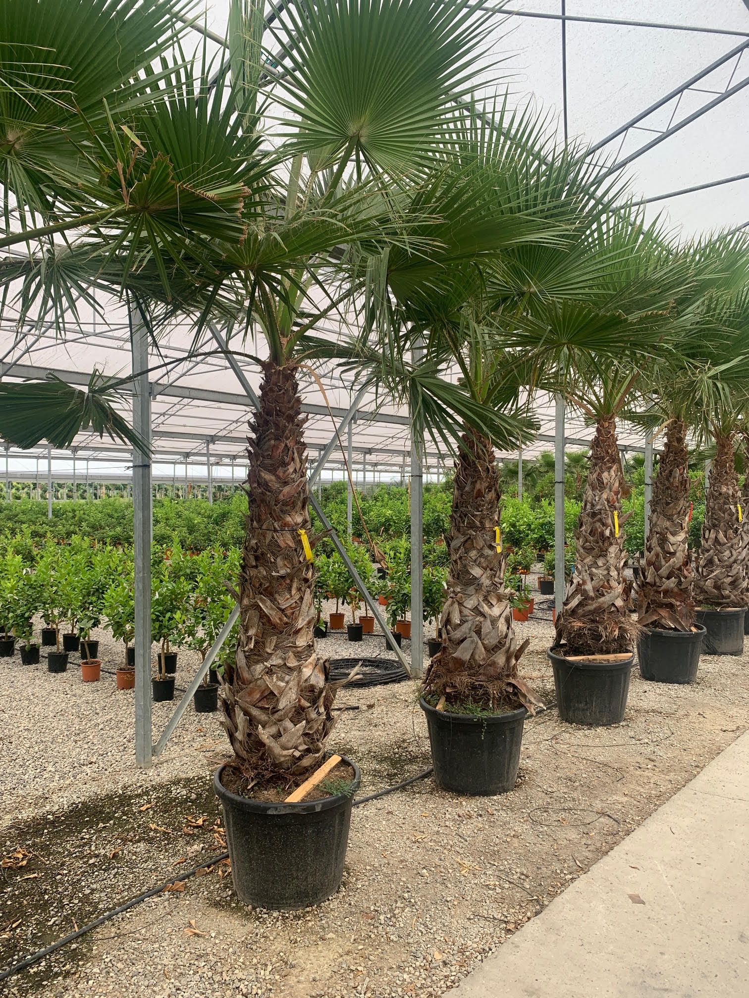 1647247042 PRIT 92027c83