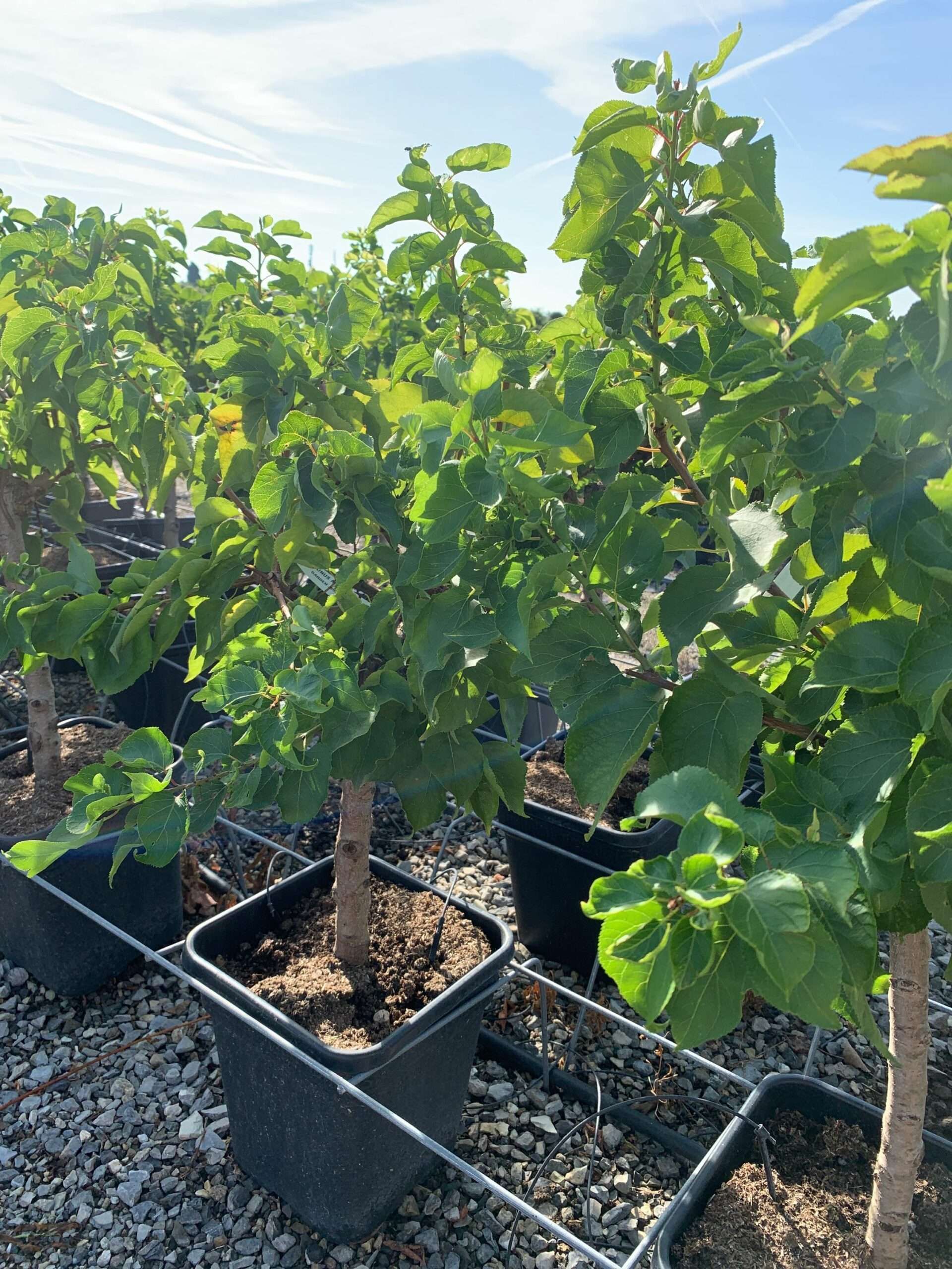 1662363748 scaled 921d3306