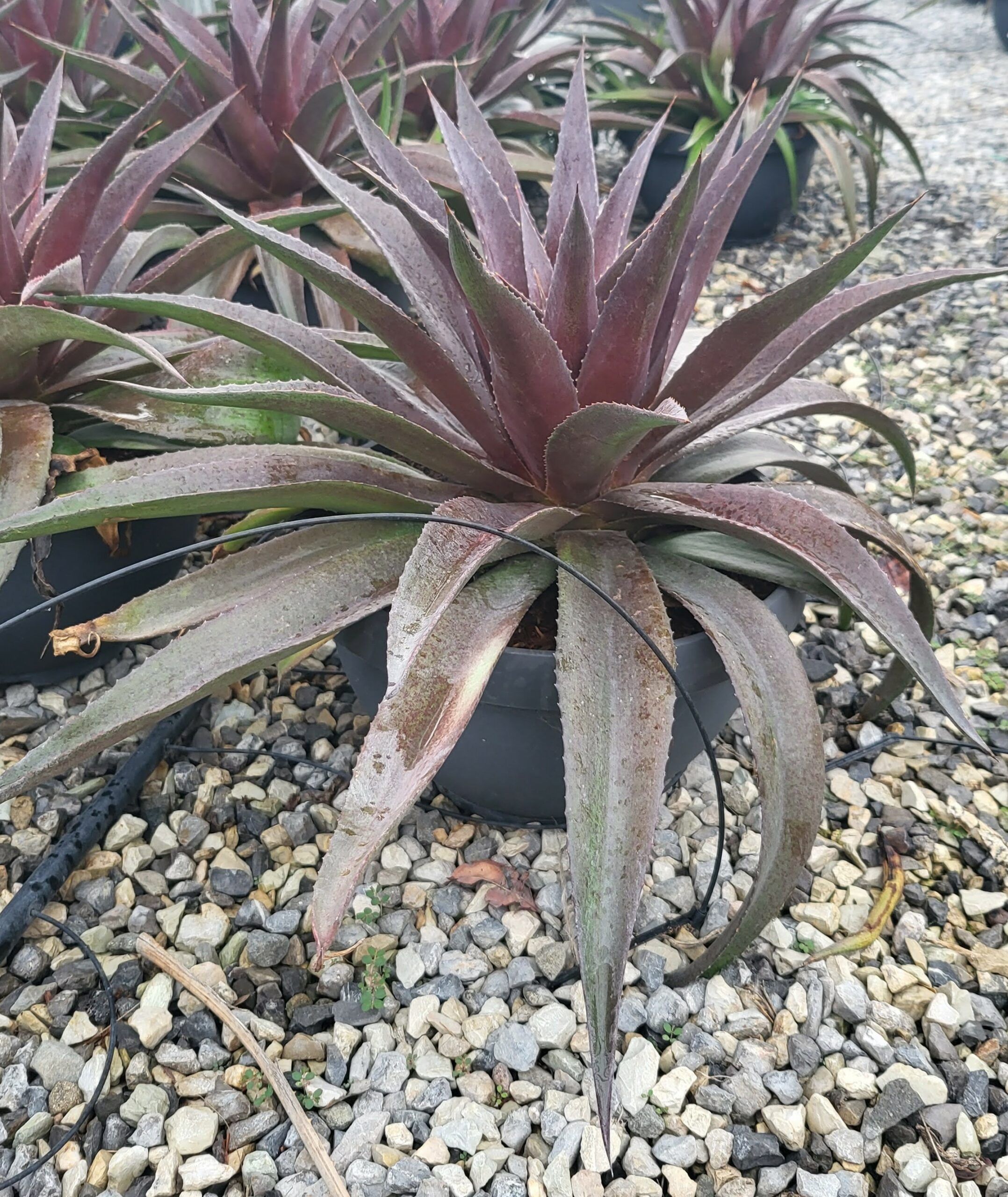 1683733551 20230510 170031 scaled 923e67ca