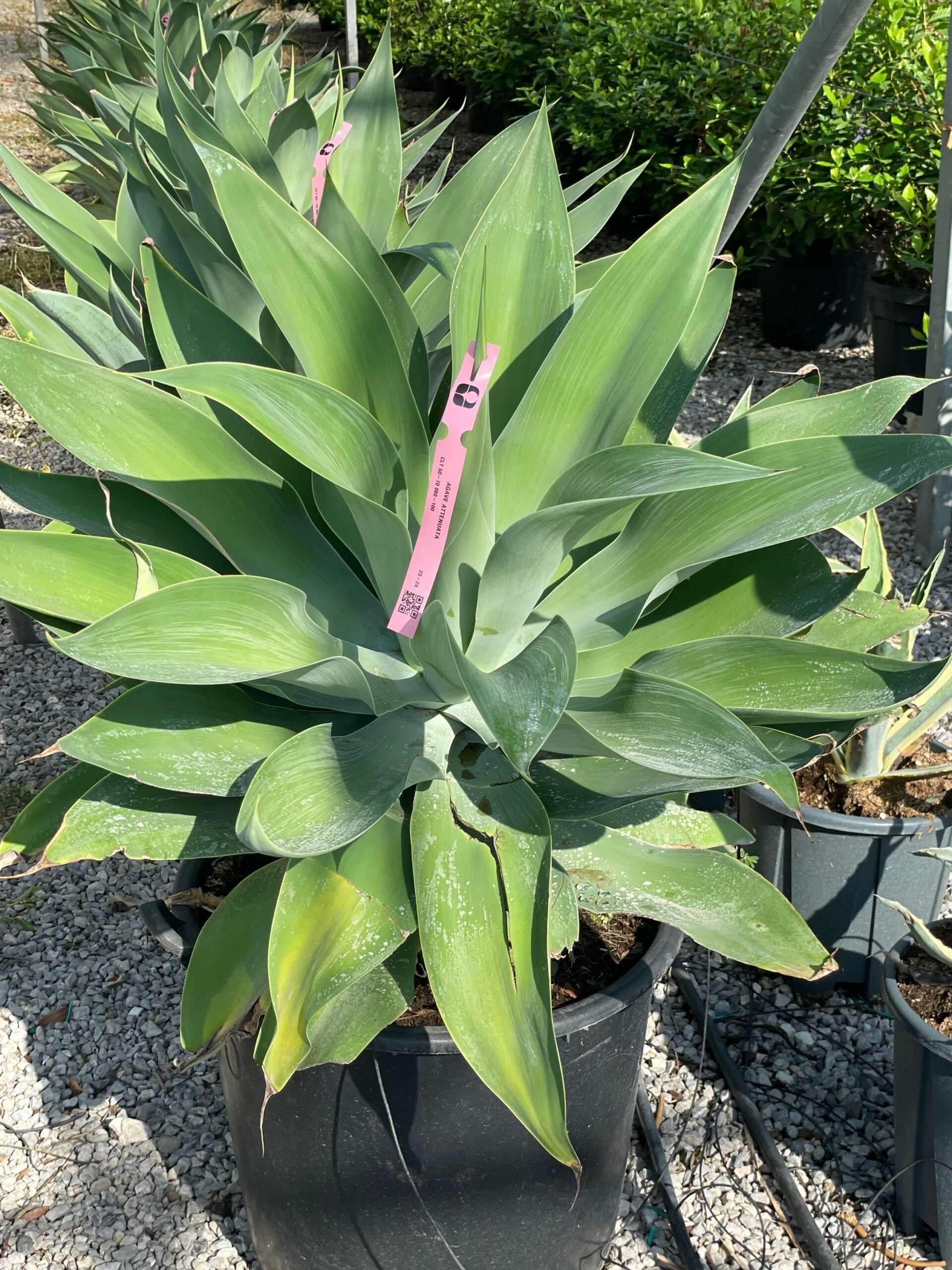 1691076073 scaled 92bb1a04