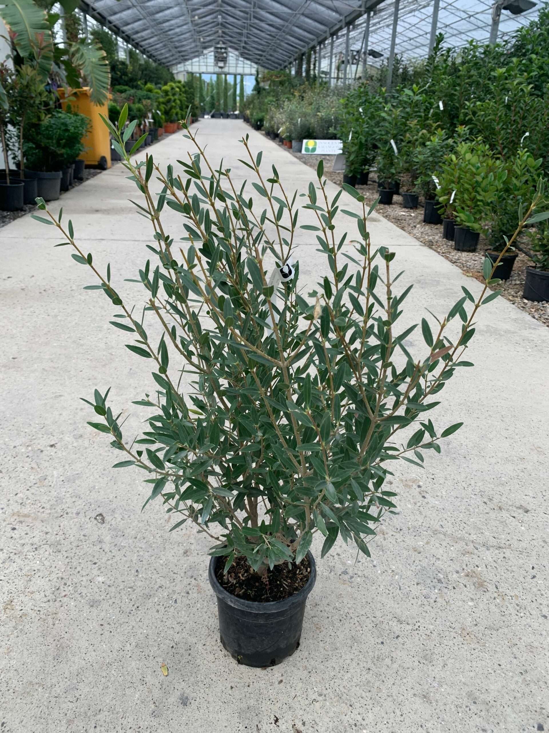 1634827106 scaled 9315c14e