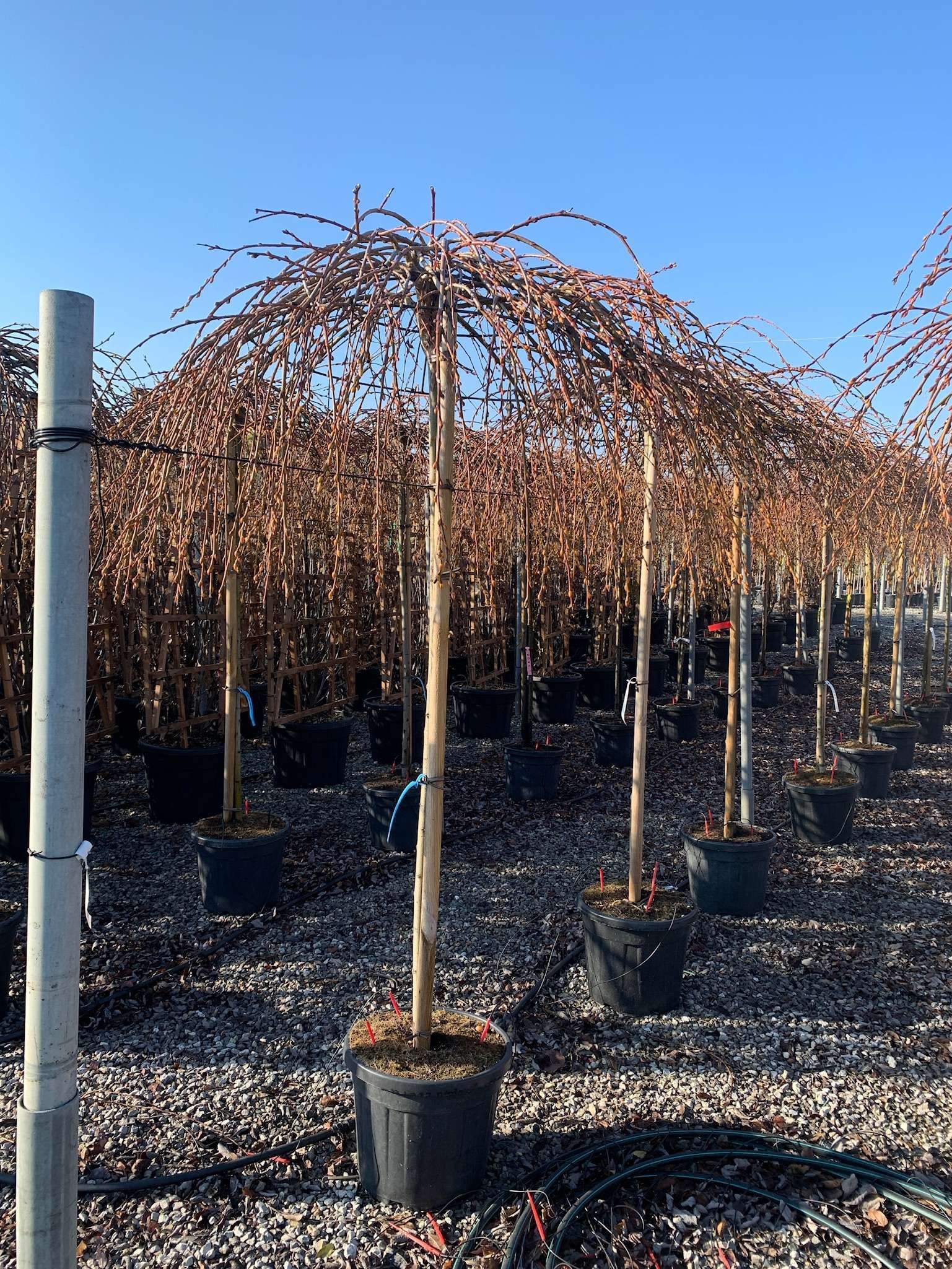 1643039945 01ed39f2a79f8004c8eb87a03da49fc505cc263ef6 931e020f