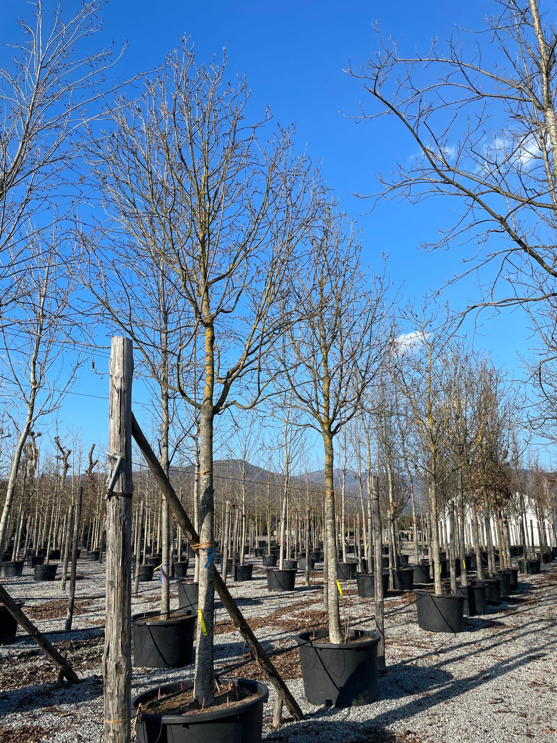 1644242773 scaled 93244305