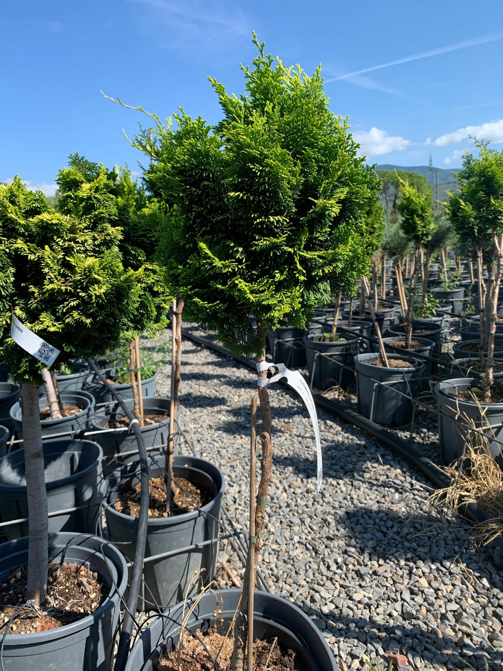 1662109296 scaled 93892bcf