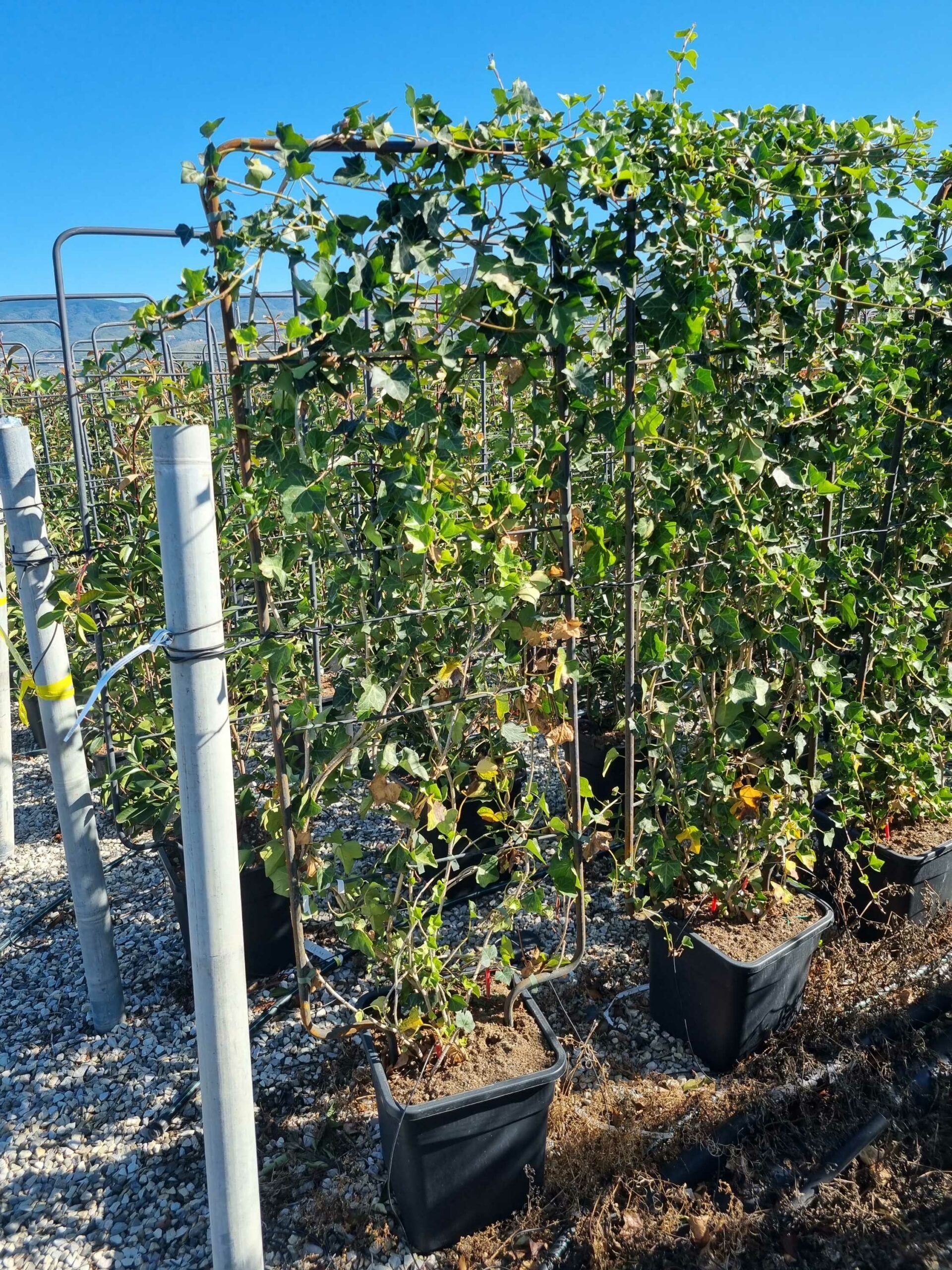 1663661531 scaled 932138b0