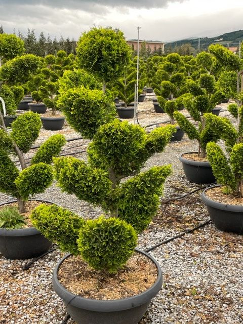 1683047705 IMG 7814 93aed8b2