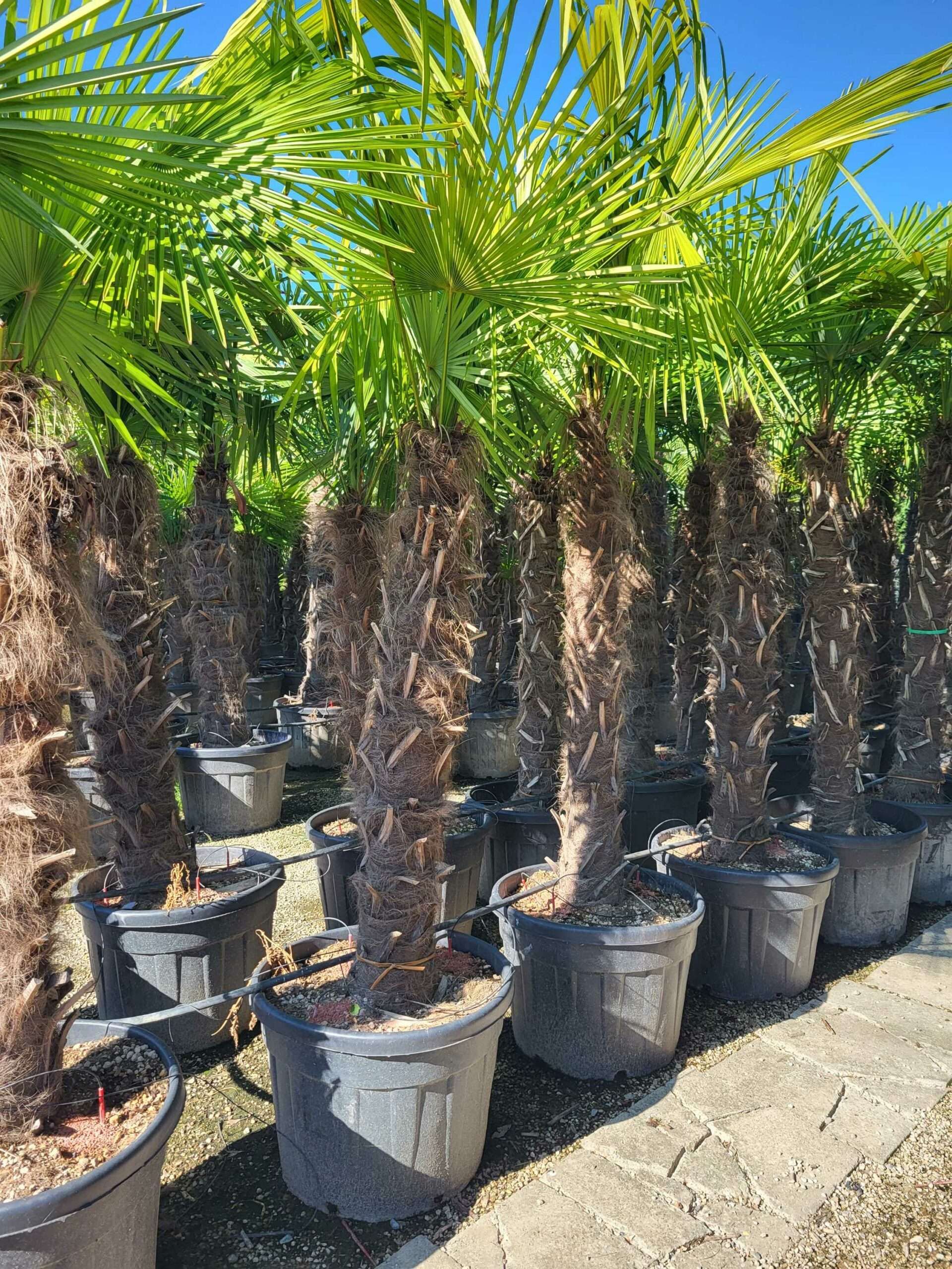 1691479918 scaled 937f57bf