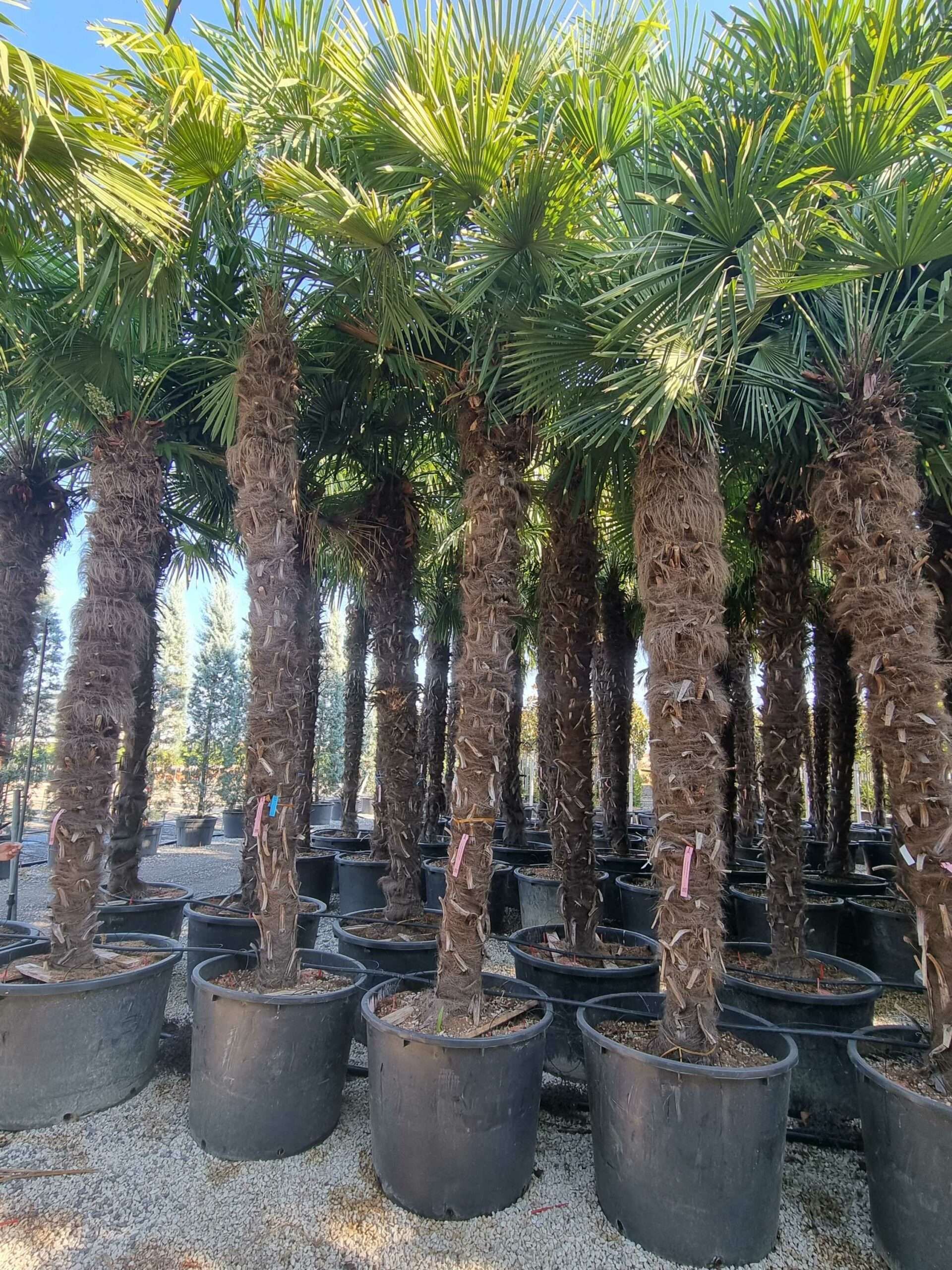 1692687167 scaled 933f4a92