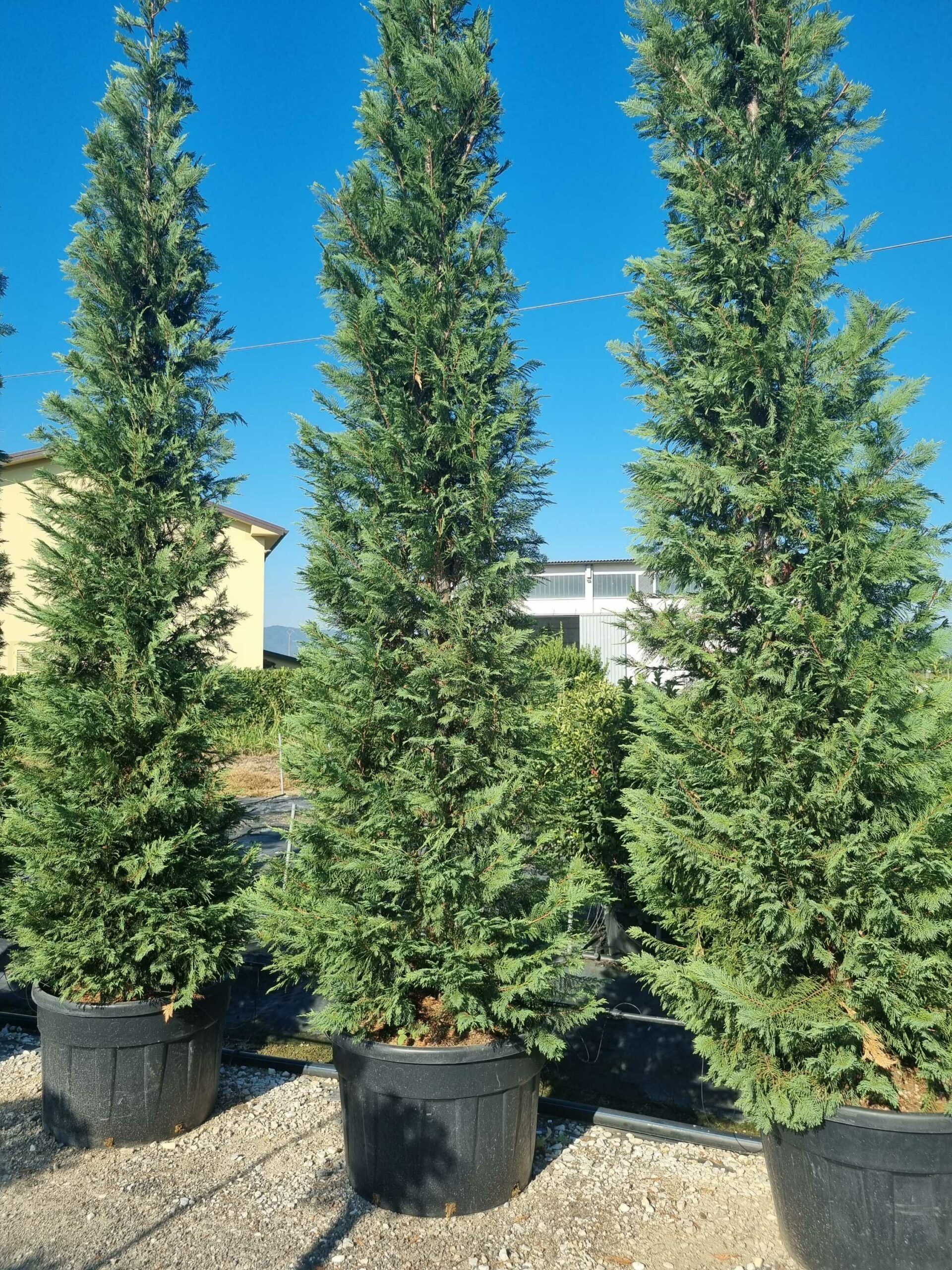 1692688479 scaled 93fd3dc4