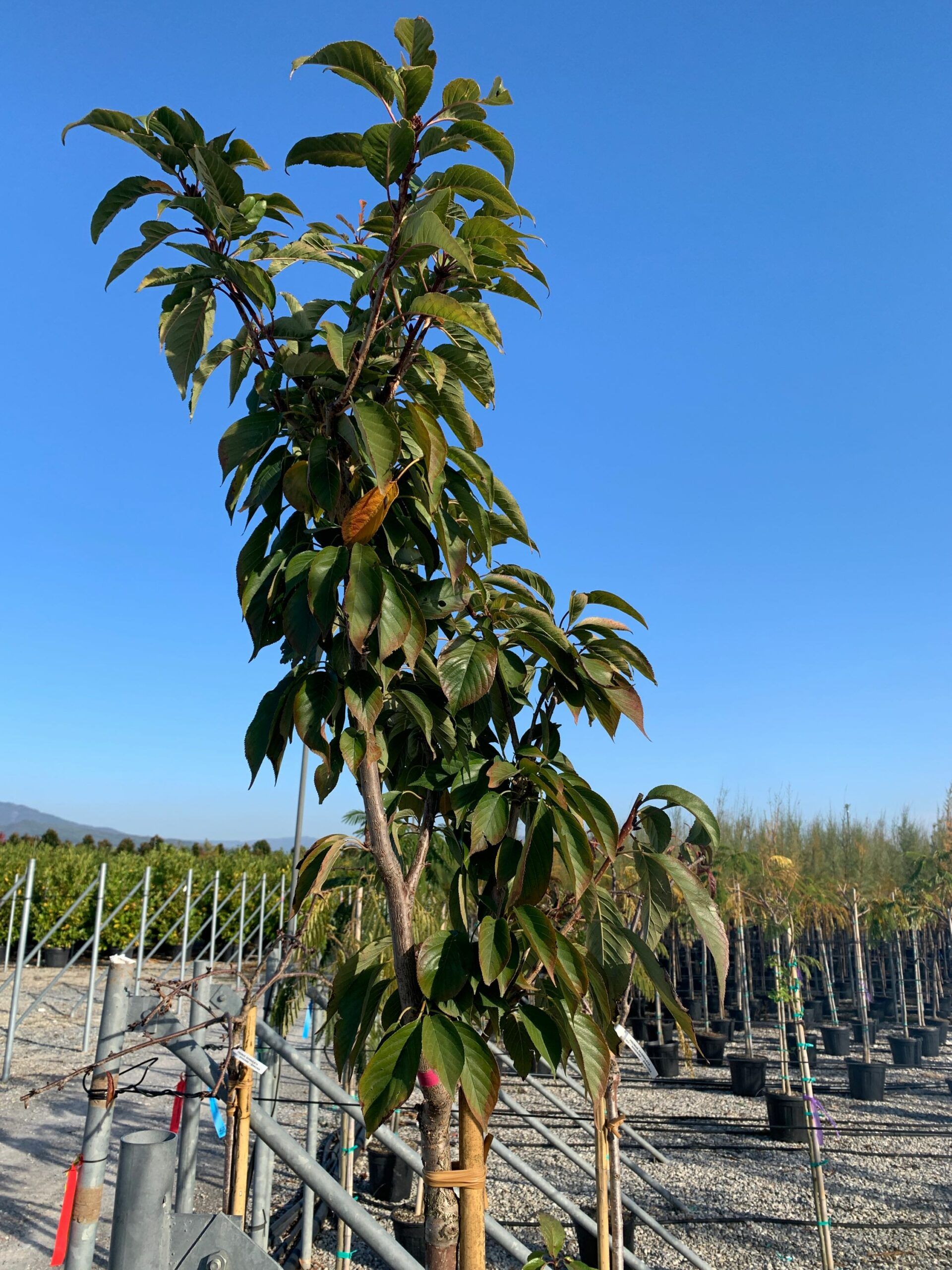 1635428939 scaled 94d3a226