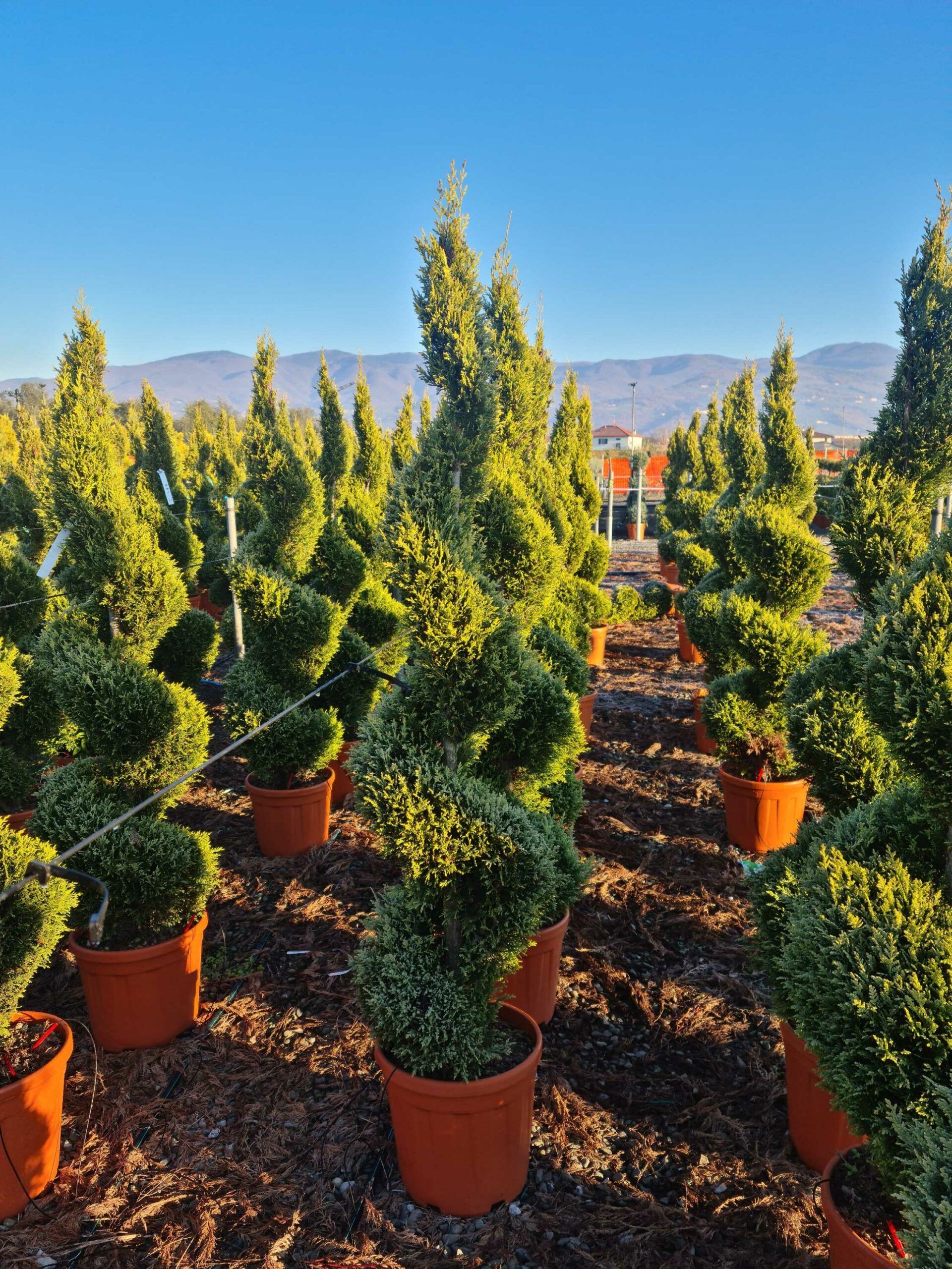 1639814733 scaled 9460516e