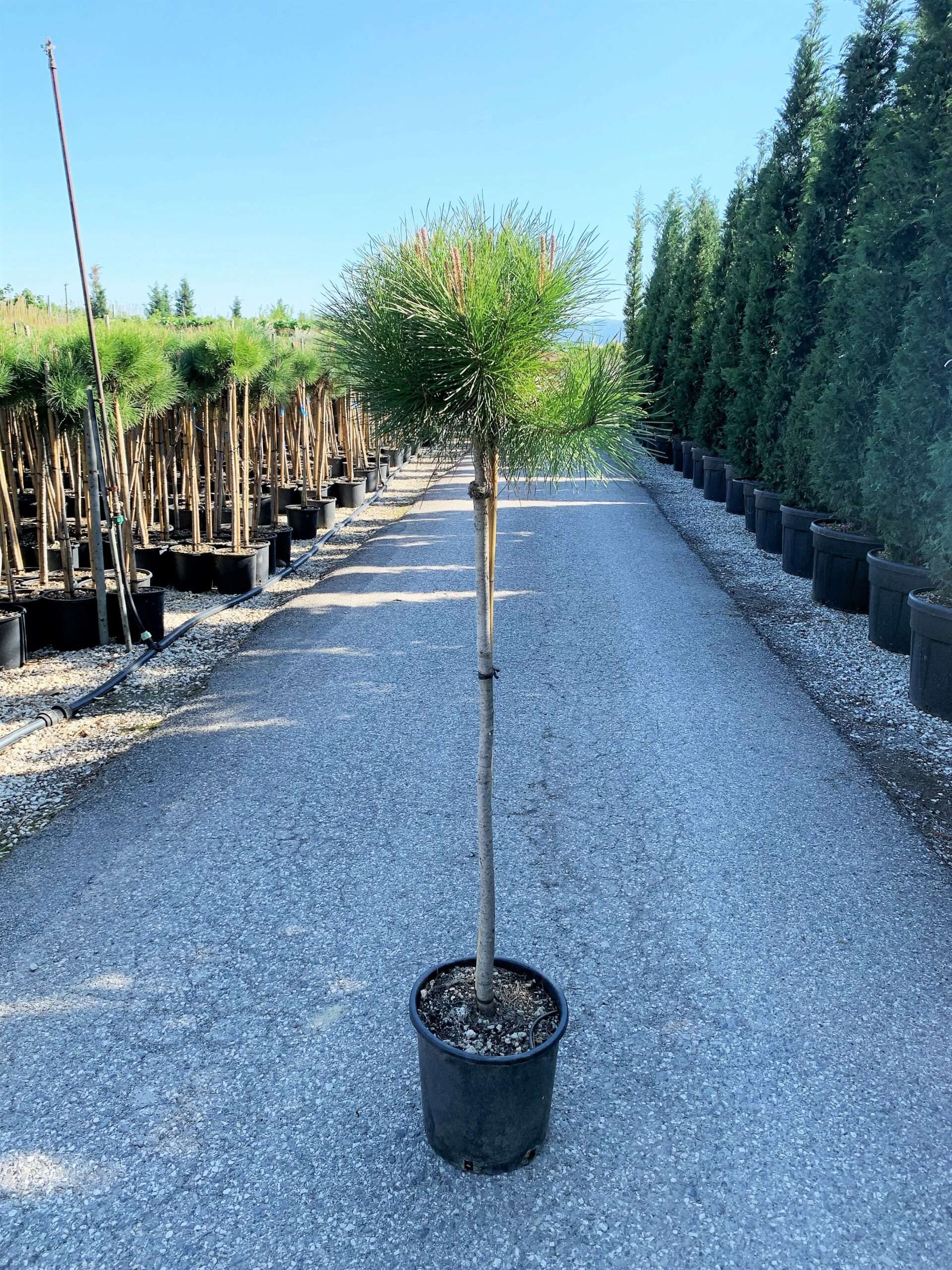 1652374607 IMG 0847 scaled 94a14731