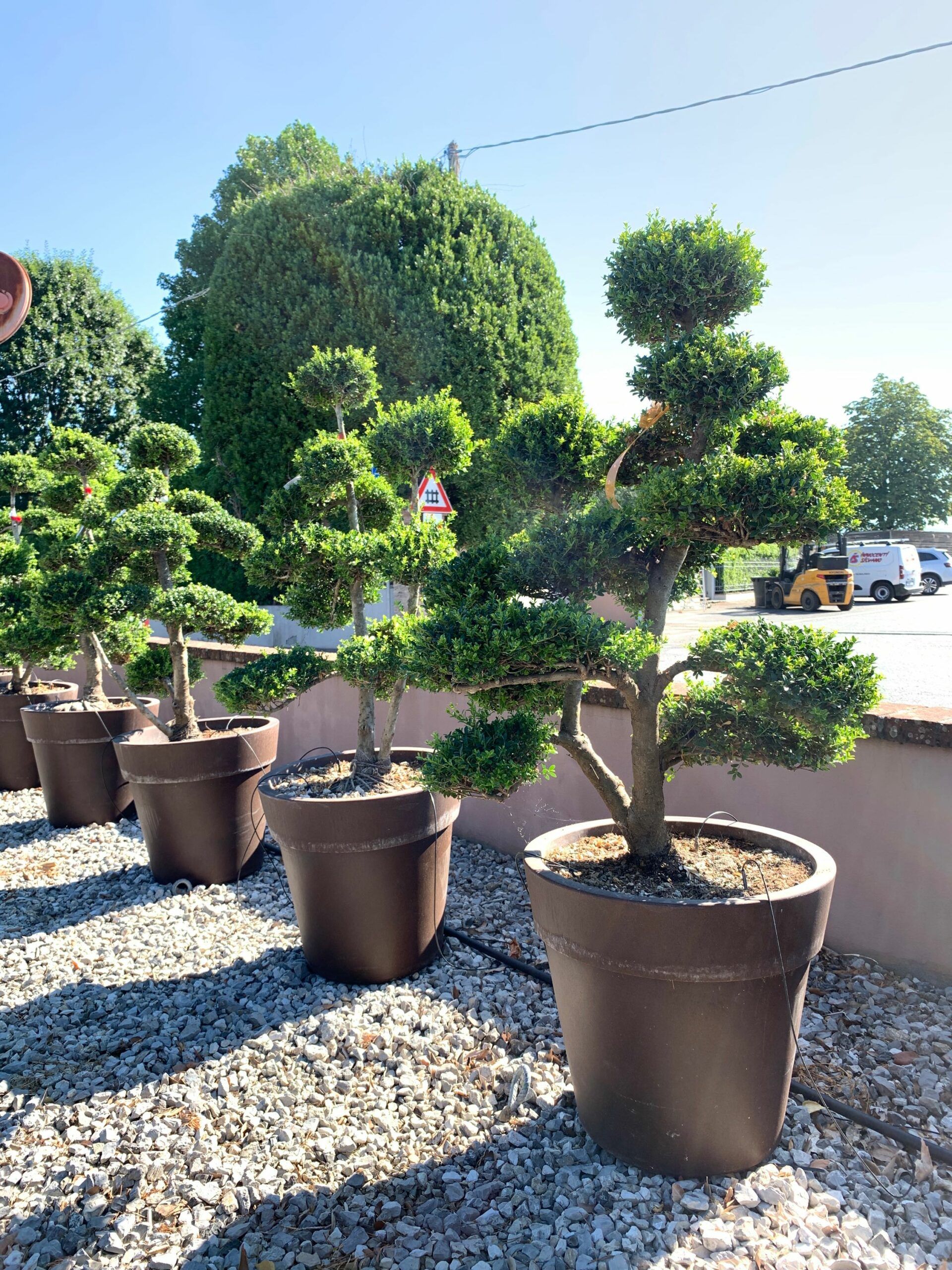 1659598668 scaled 941f3f44