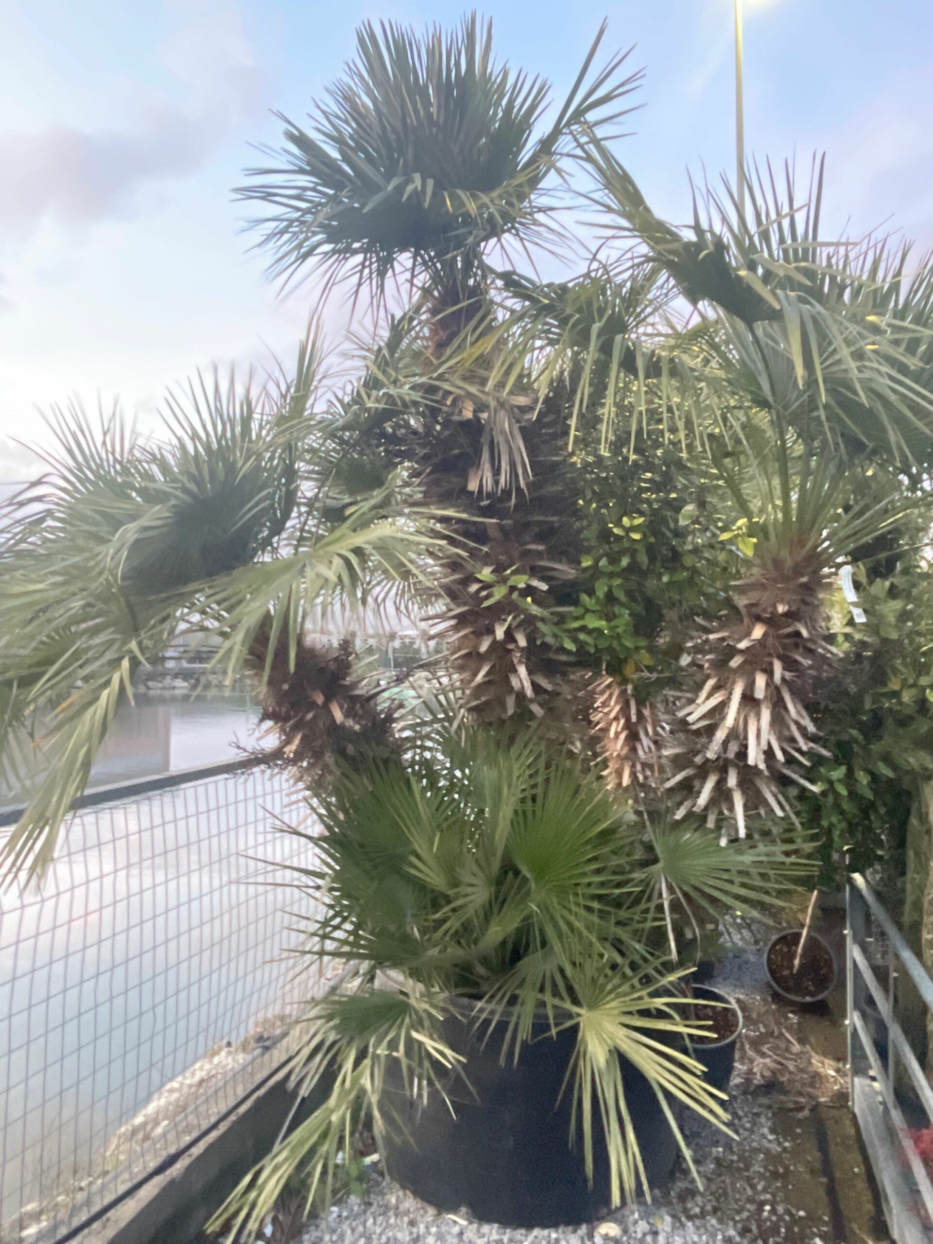 1678469019 scaled 94c535f9