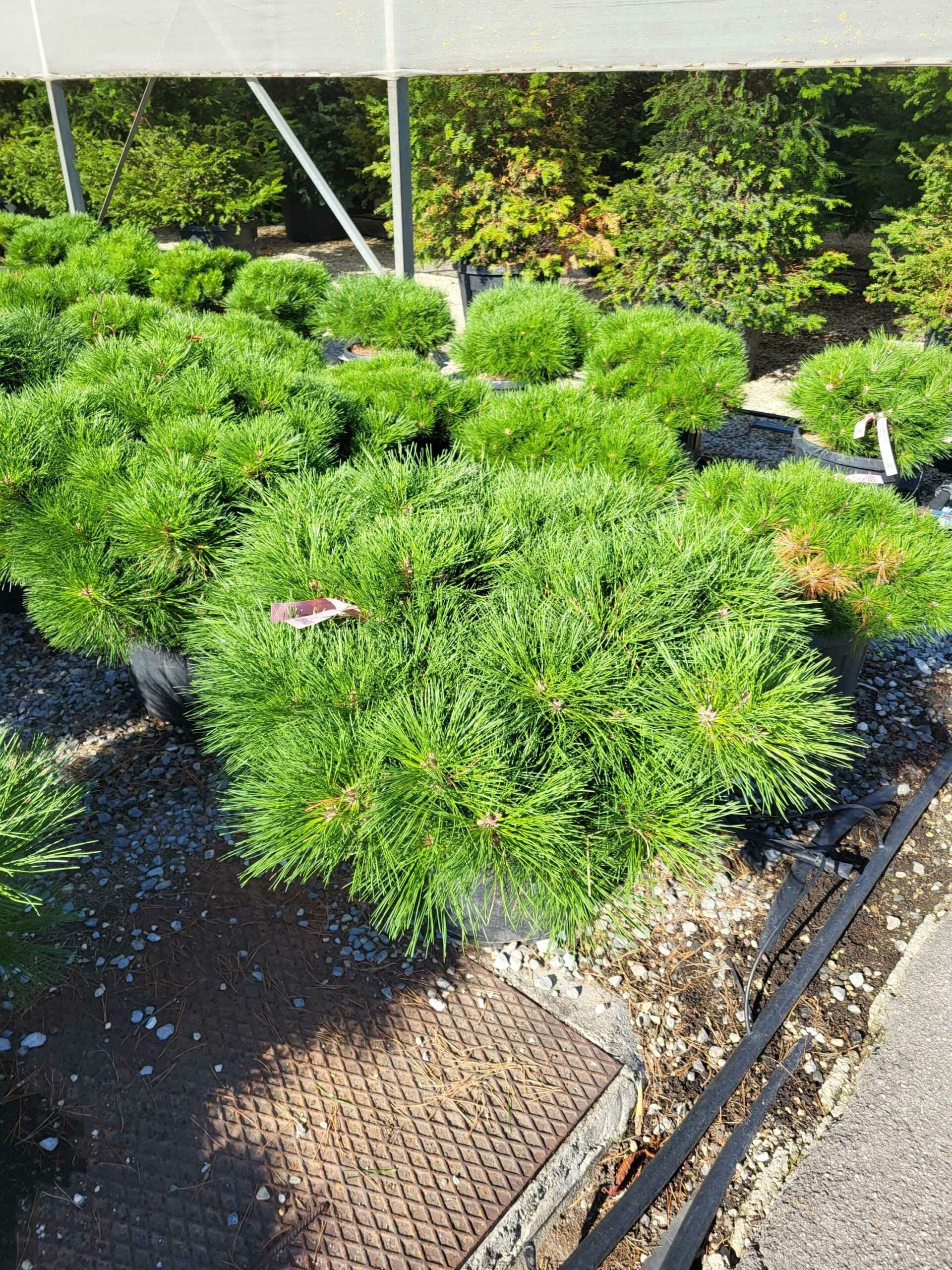 1691651788 scaled 946c1e63