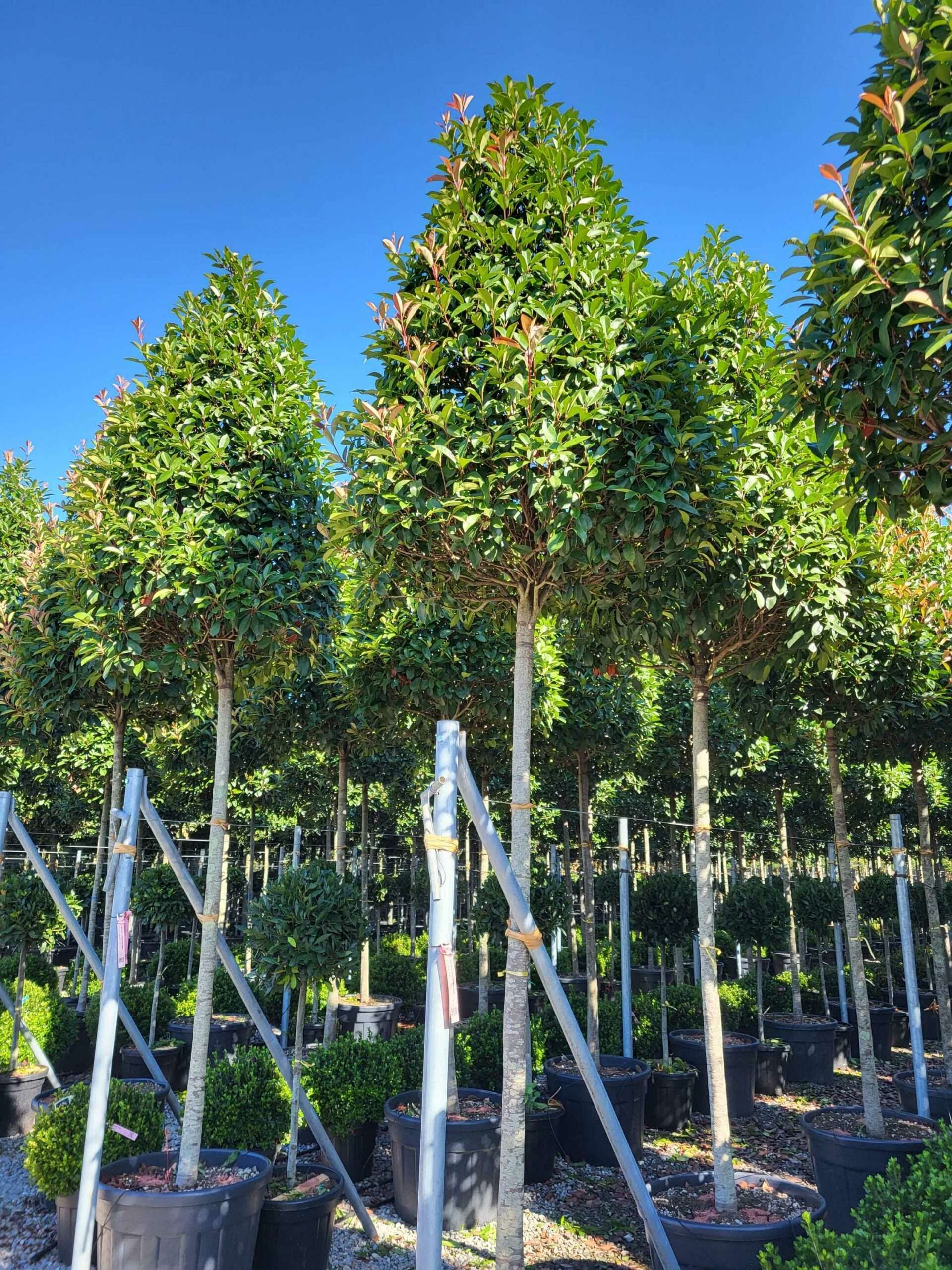 1691652599 1 scaled 94d429be