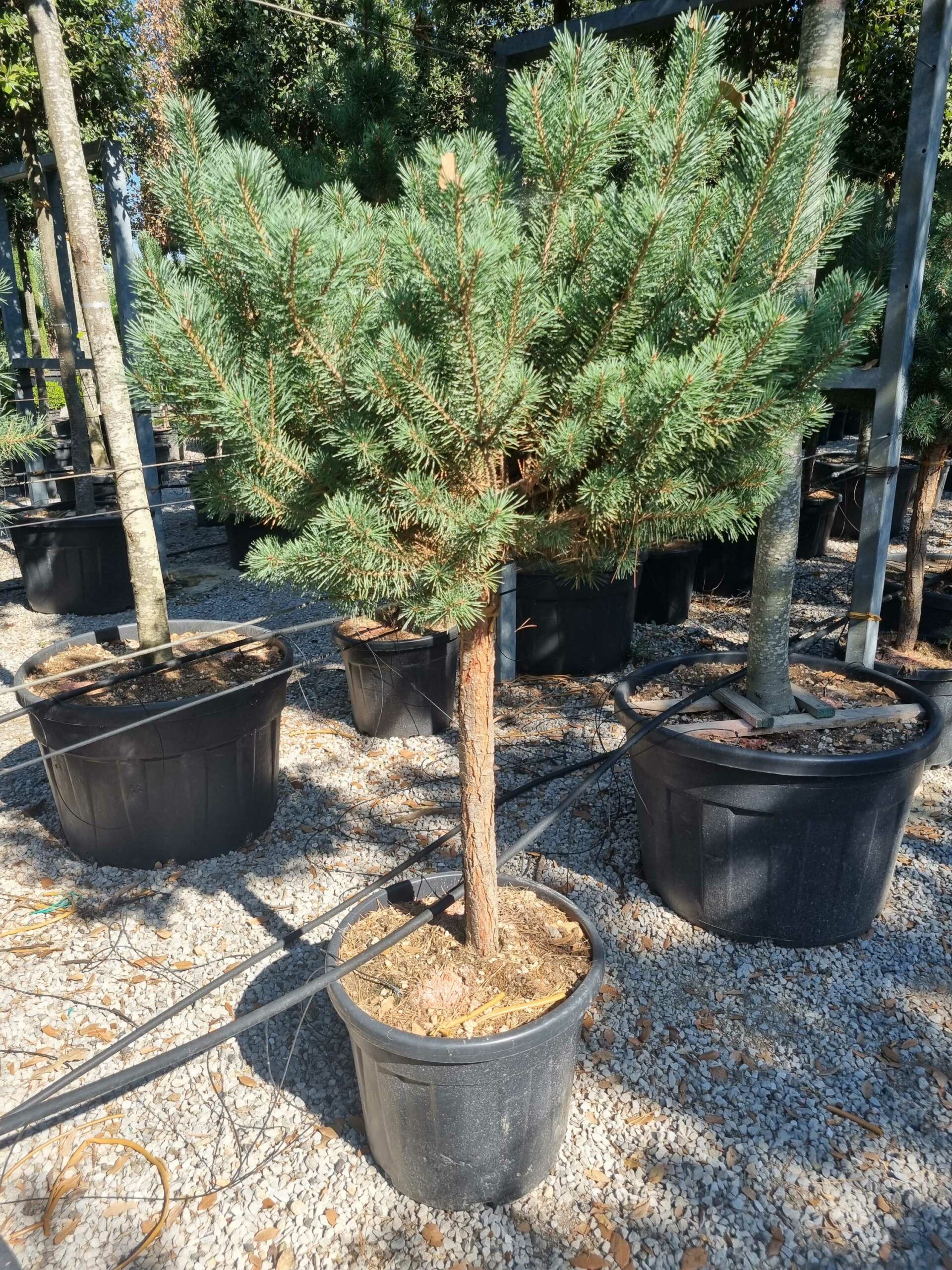 1692606398 scaled 9412ebbe