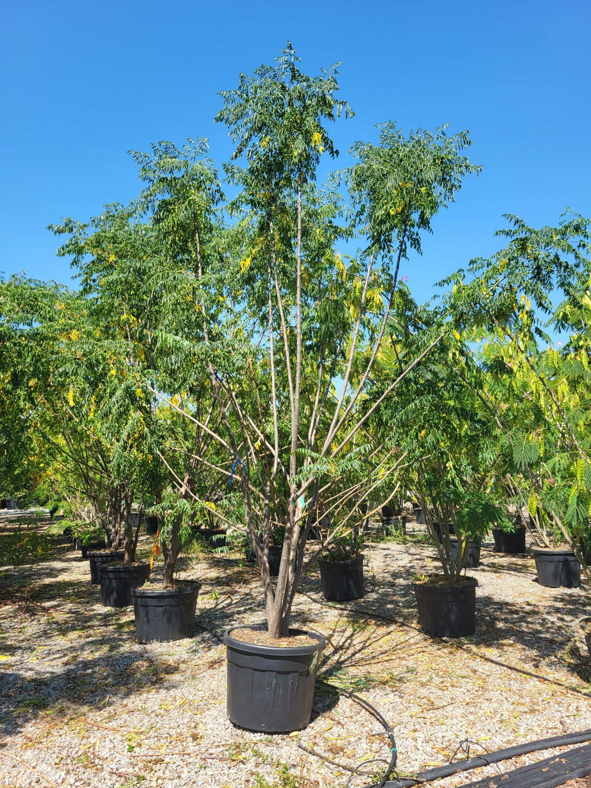 1692611094 scaled 94e2f3f0