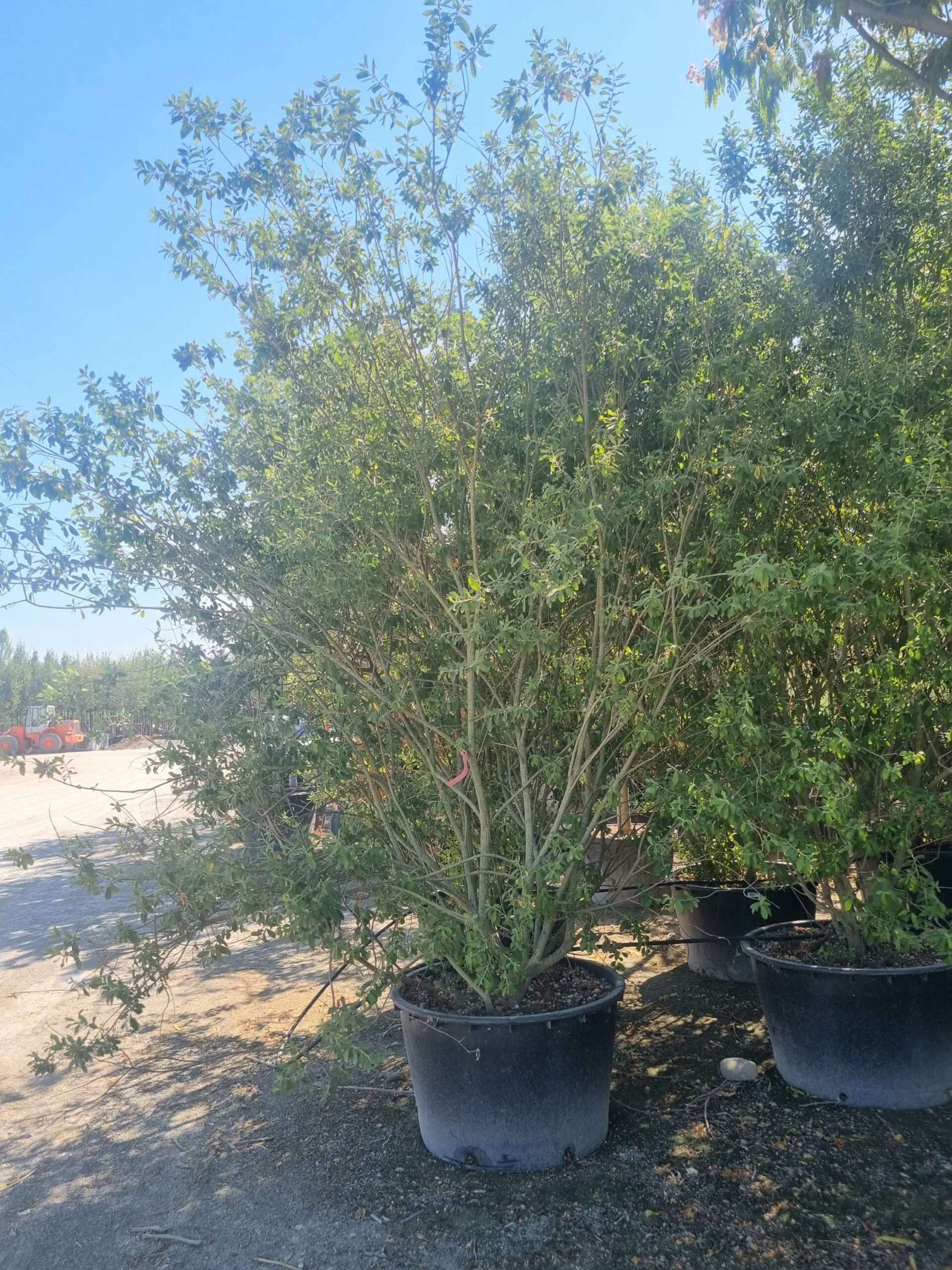 1692798385 scaled 943e045e